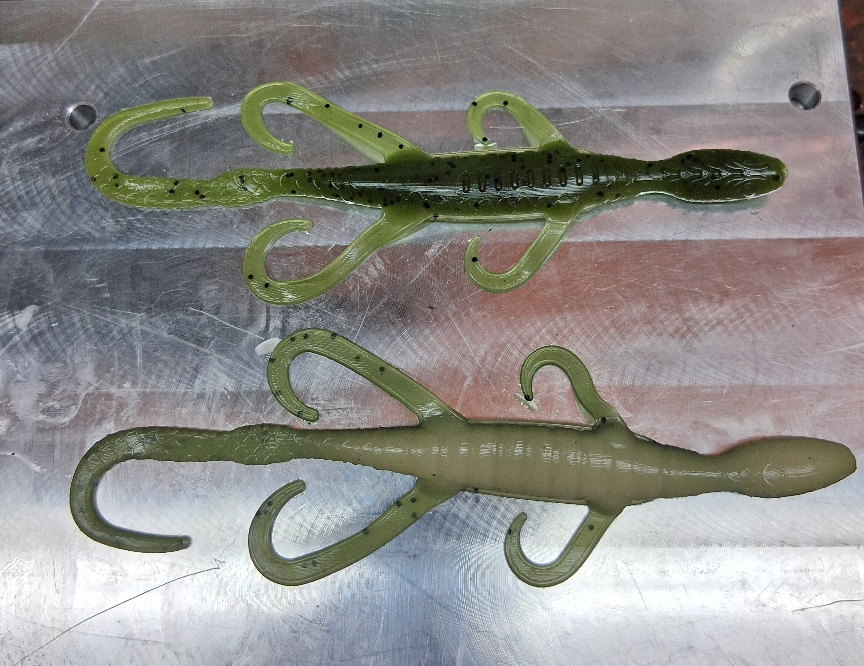 6" Lizard