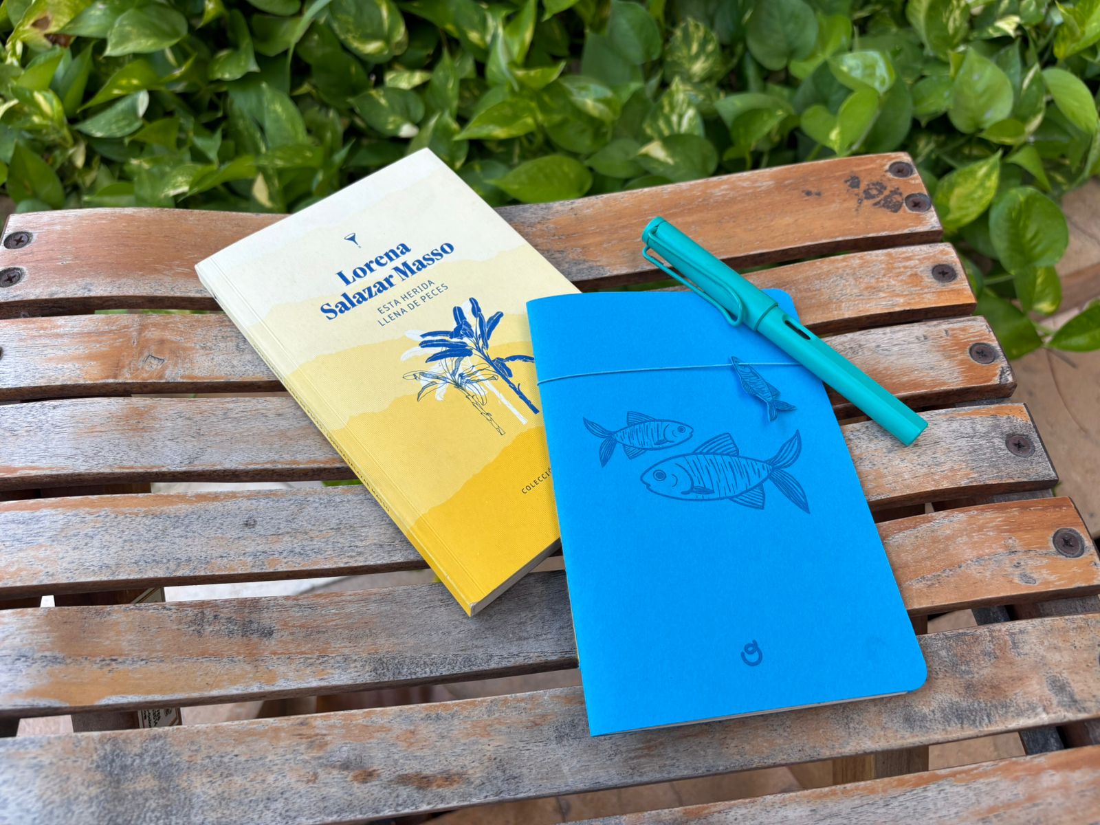 Cuaderno de lectura - Peces