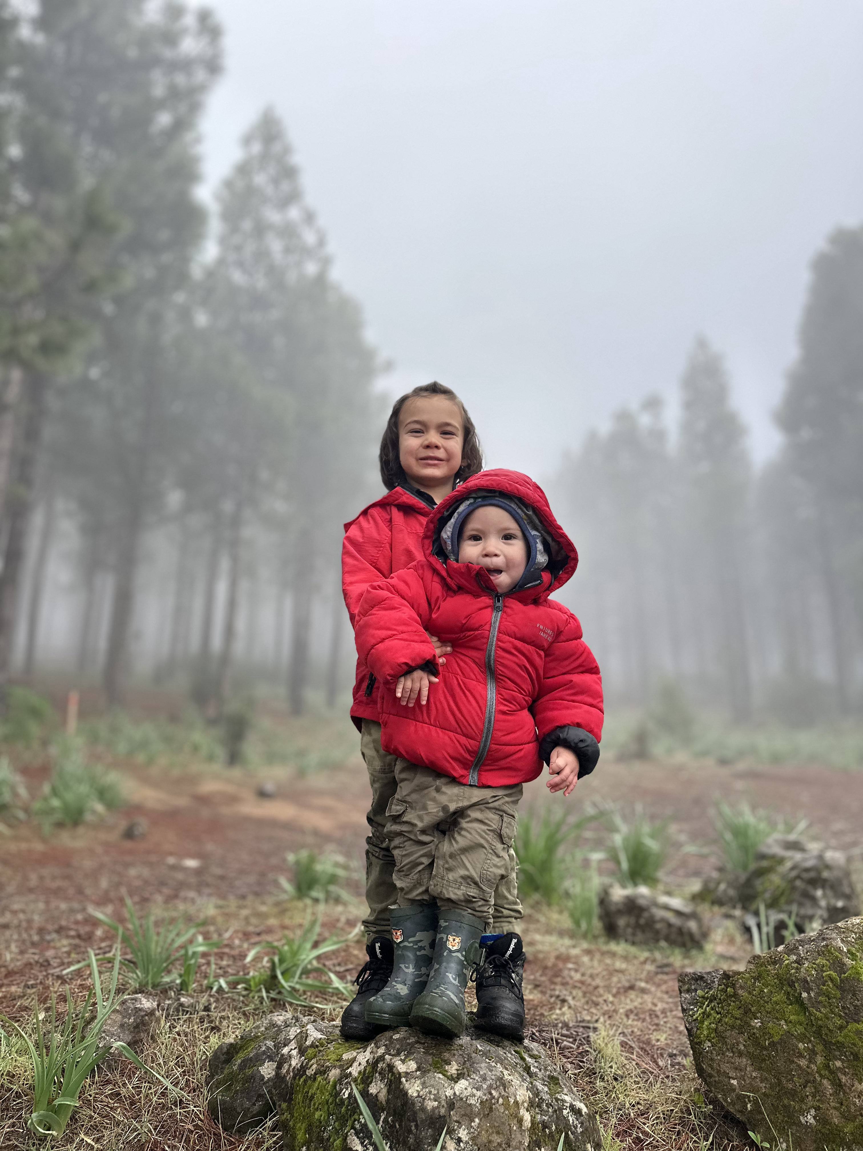 From City Life to Sustainable Living: A Guide to Thriving in the Countryside