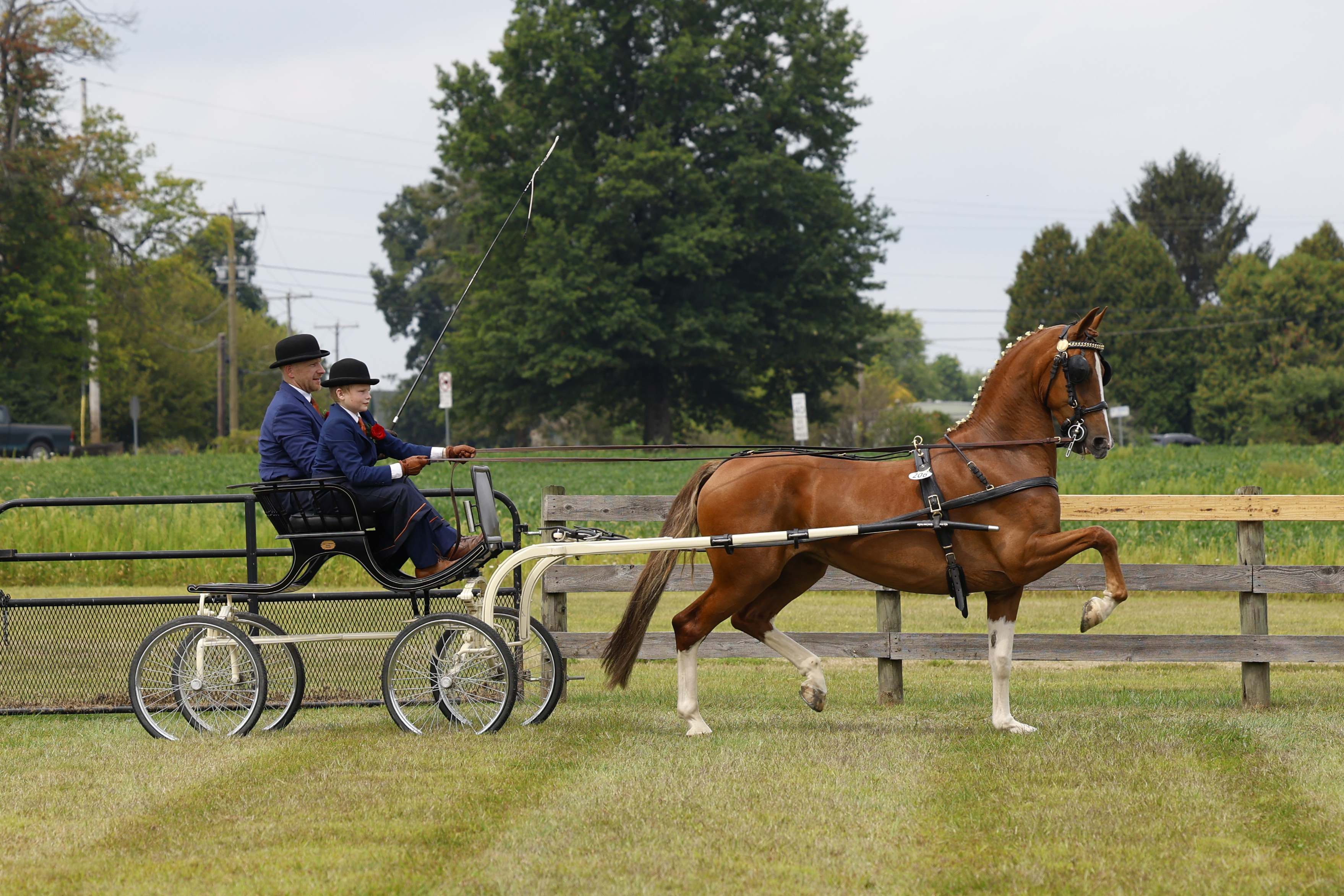 Saturday Young Riders