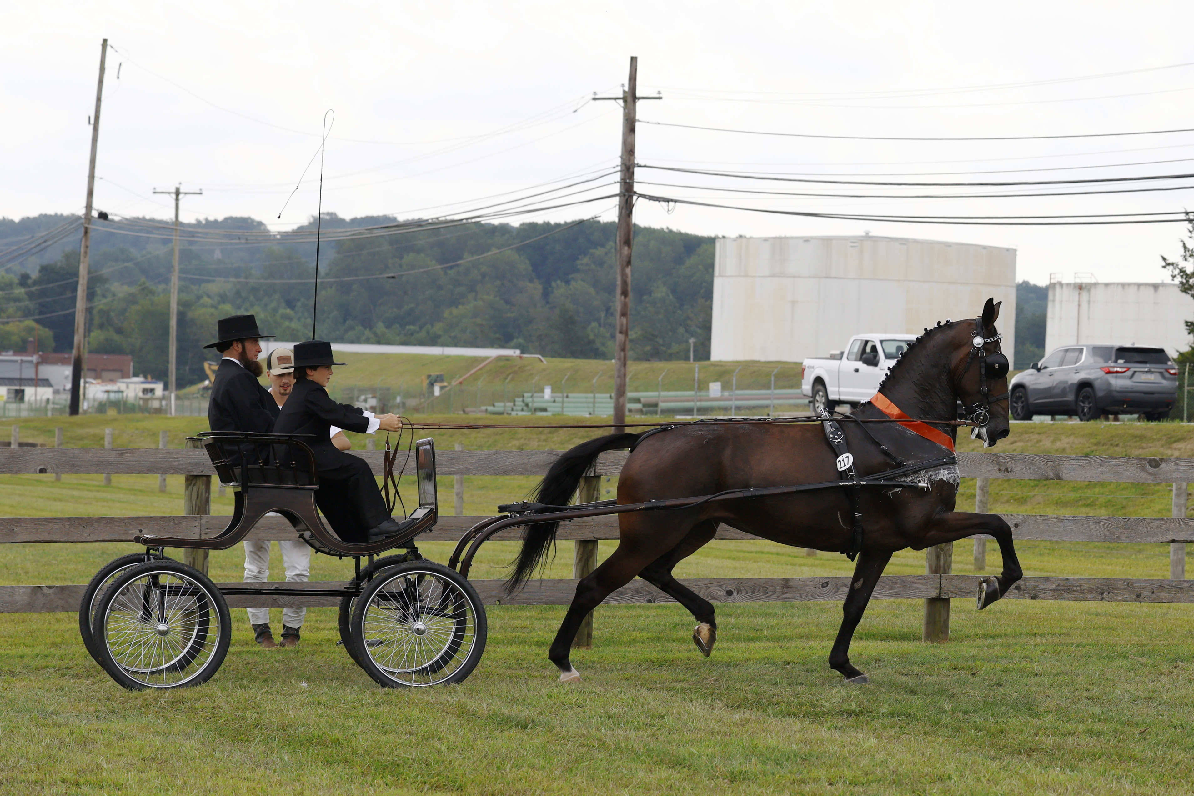 Saturday Young Riders