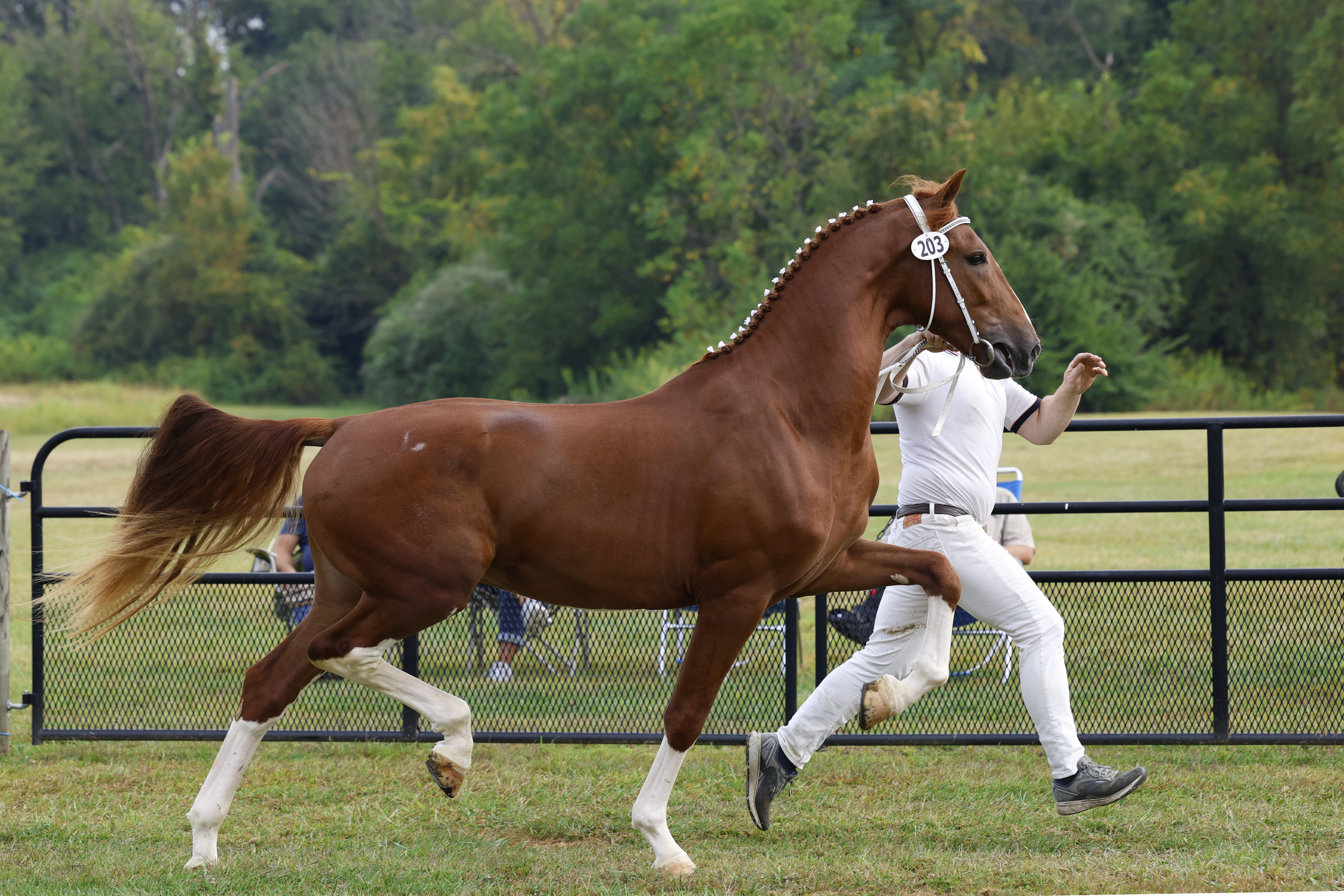 Saturday 2 Year Olds