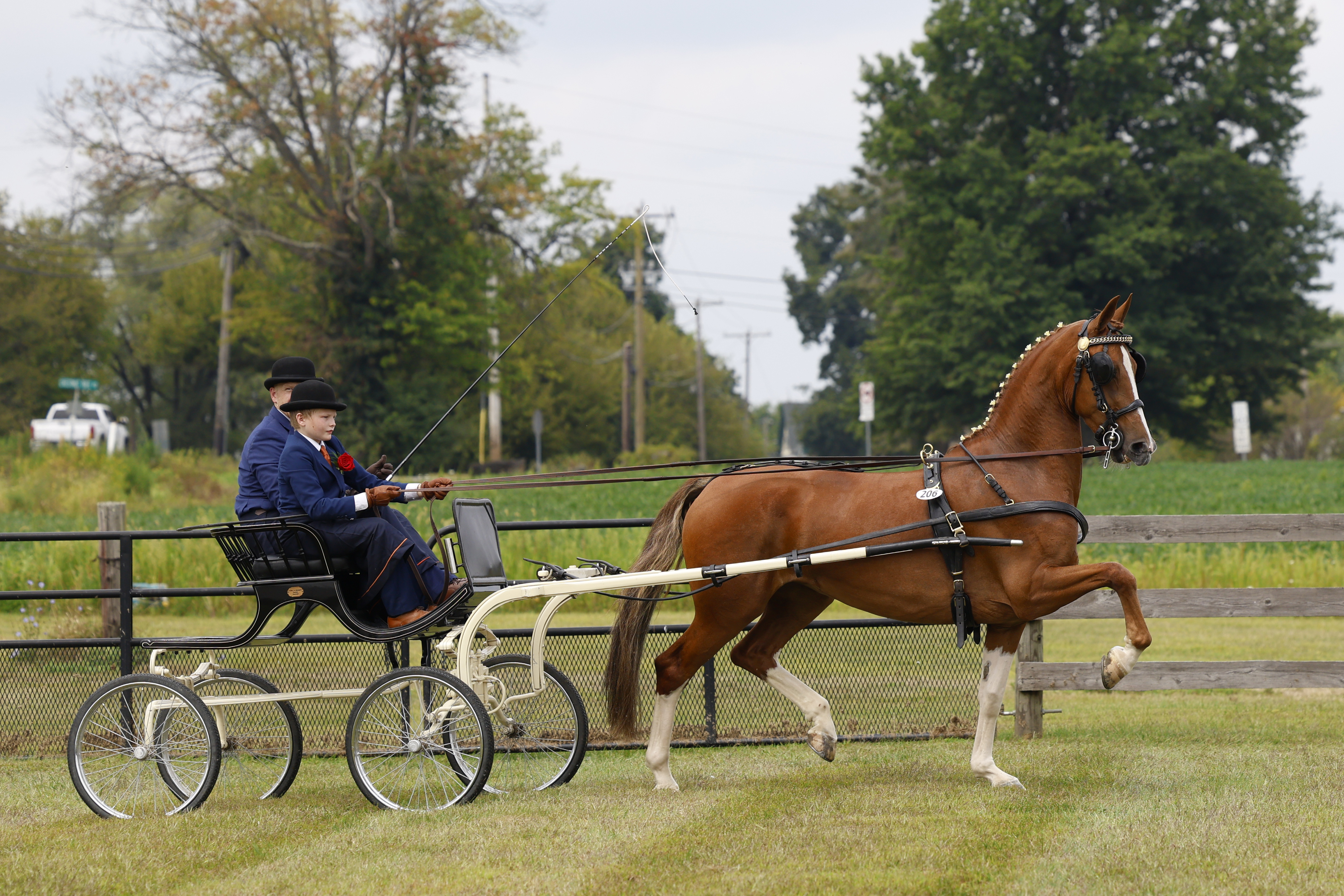 Saturday Young Riders