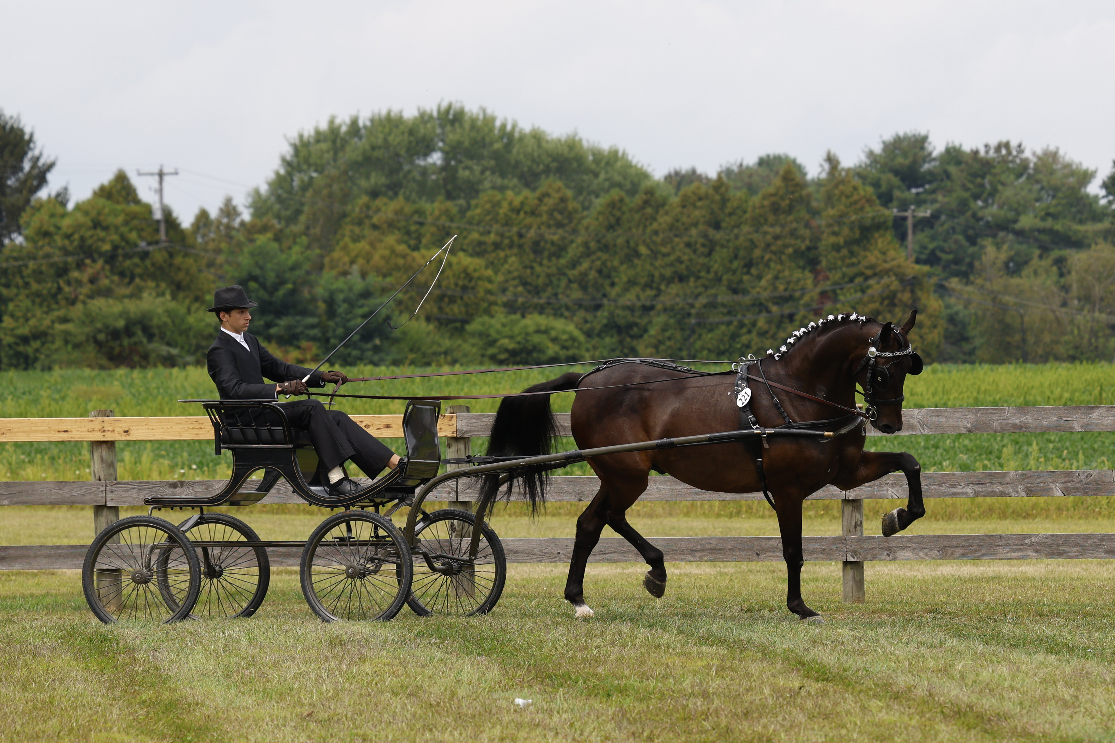 Saturday Young Riders