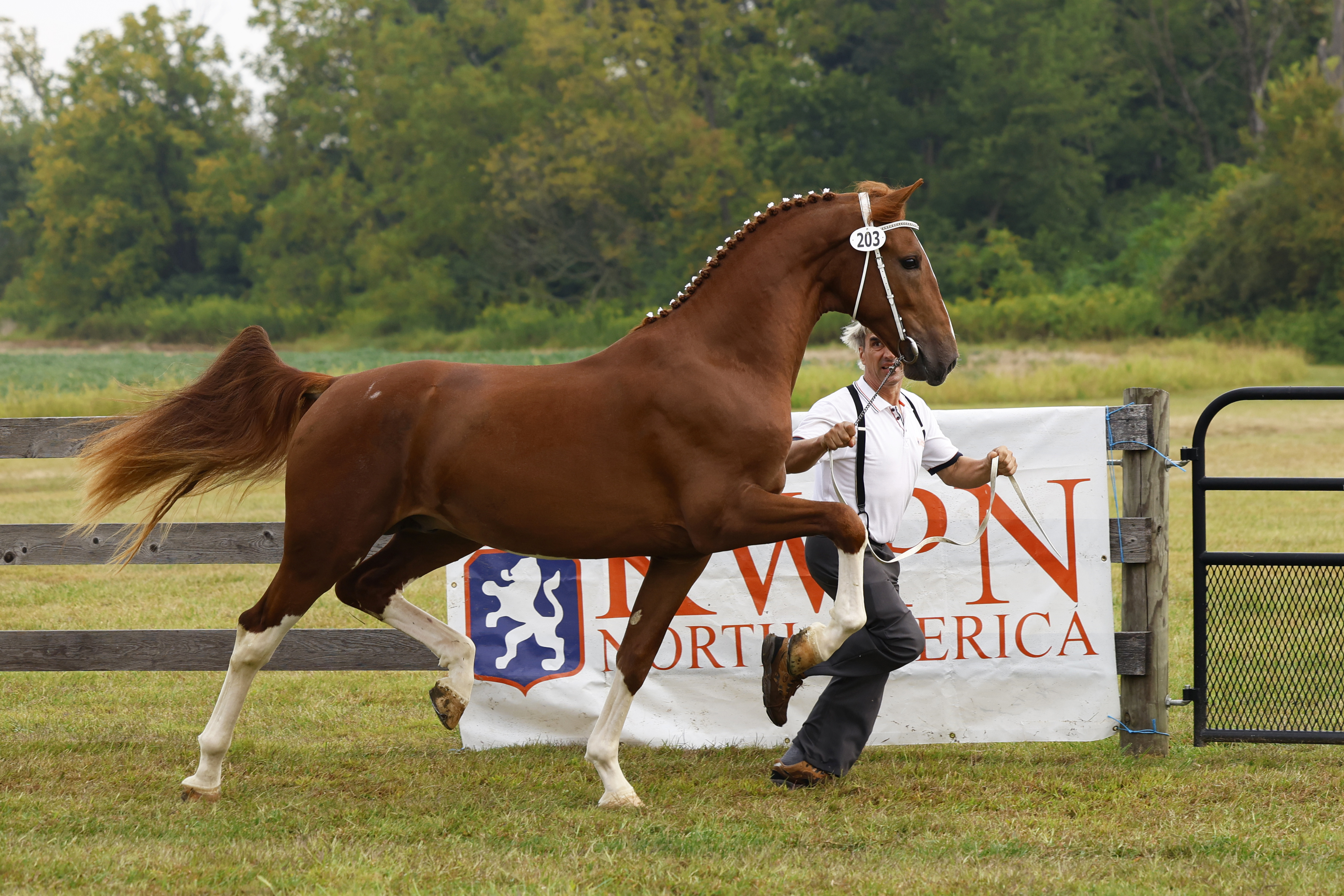 Saturday 2 Year Olds