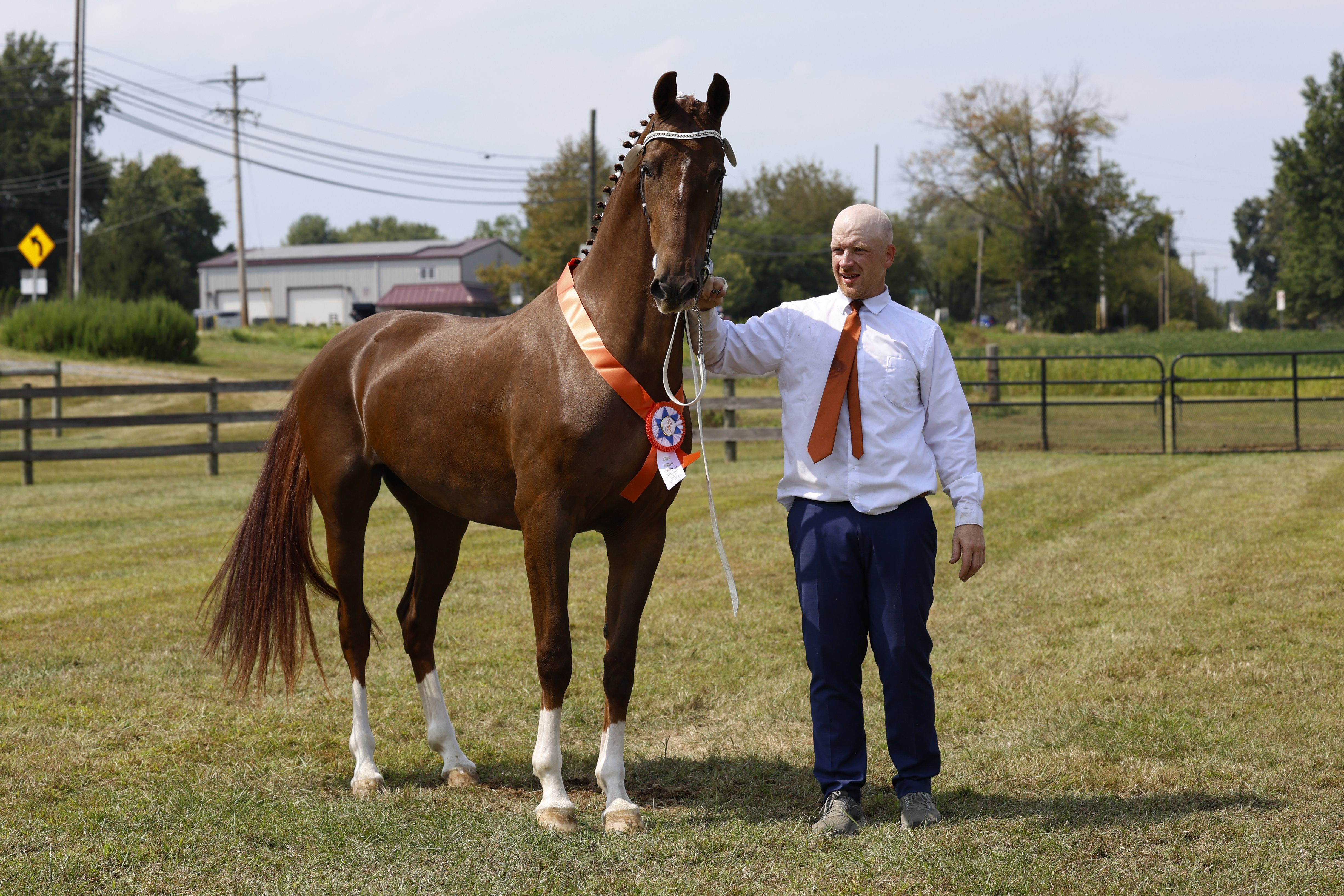 Saturday Overall In Hand Championship
