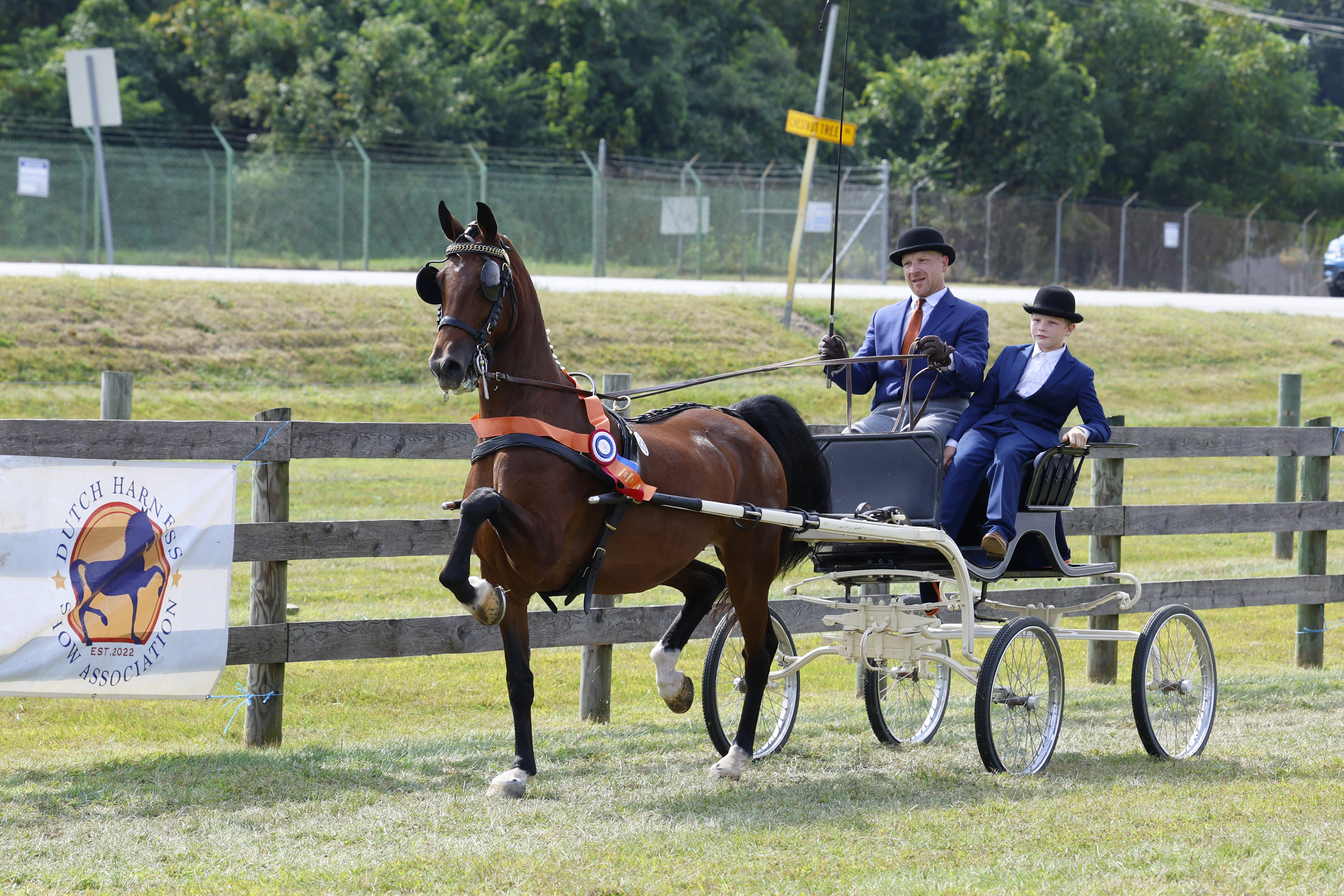 Saturday Fine Harness Cup Mares