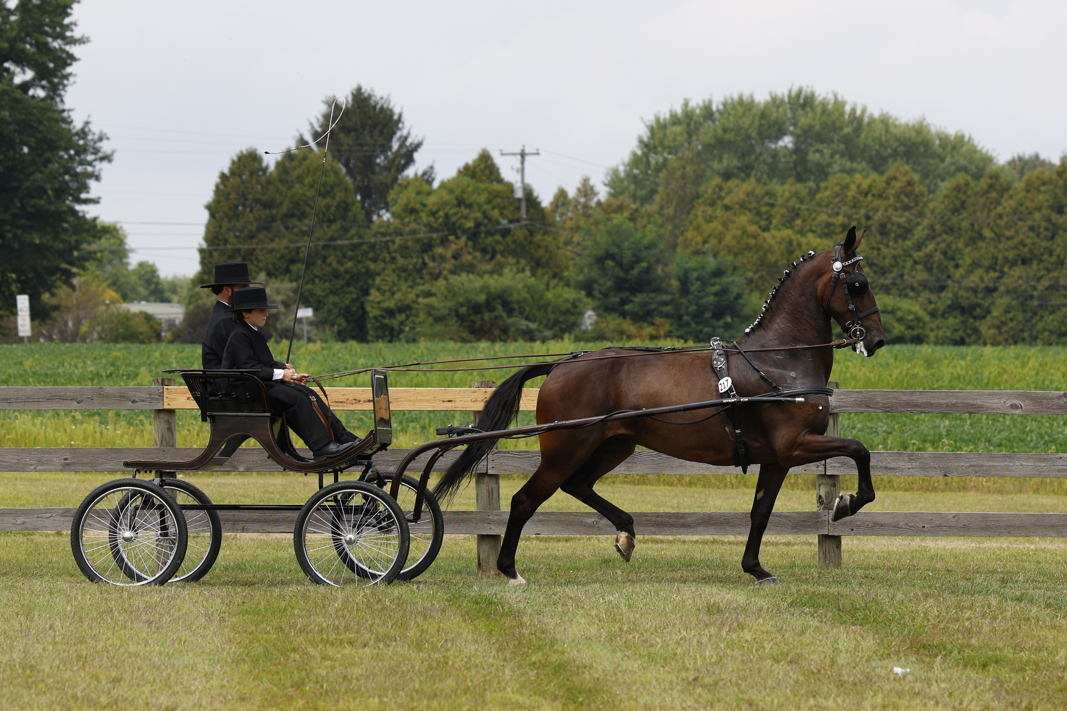 Saturday Young Riders