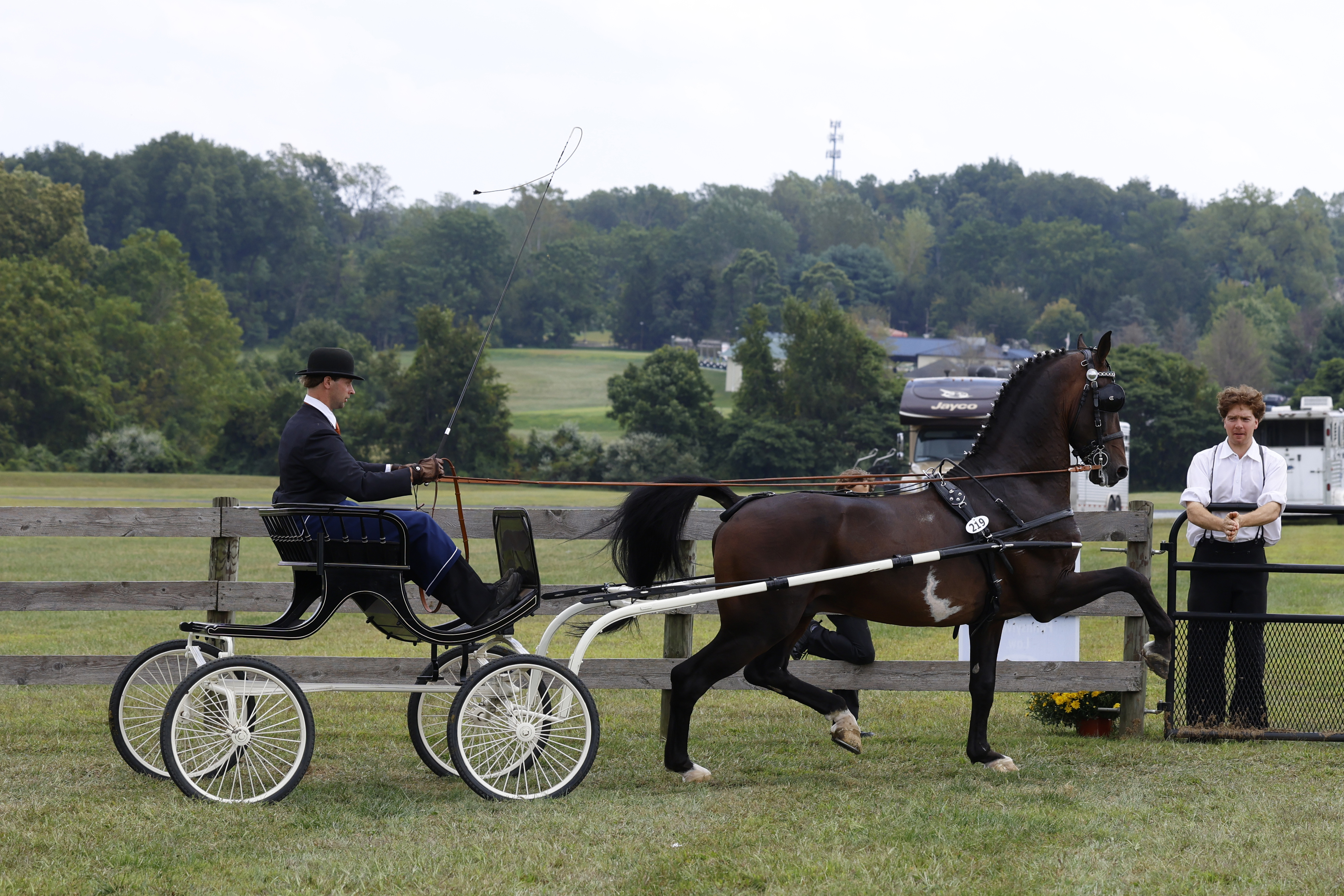 Saturday Fine Harness Cup Stallions & Geldings & Eebert award