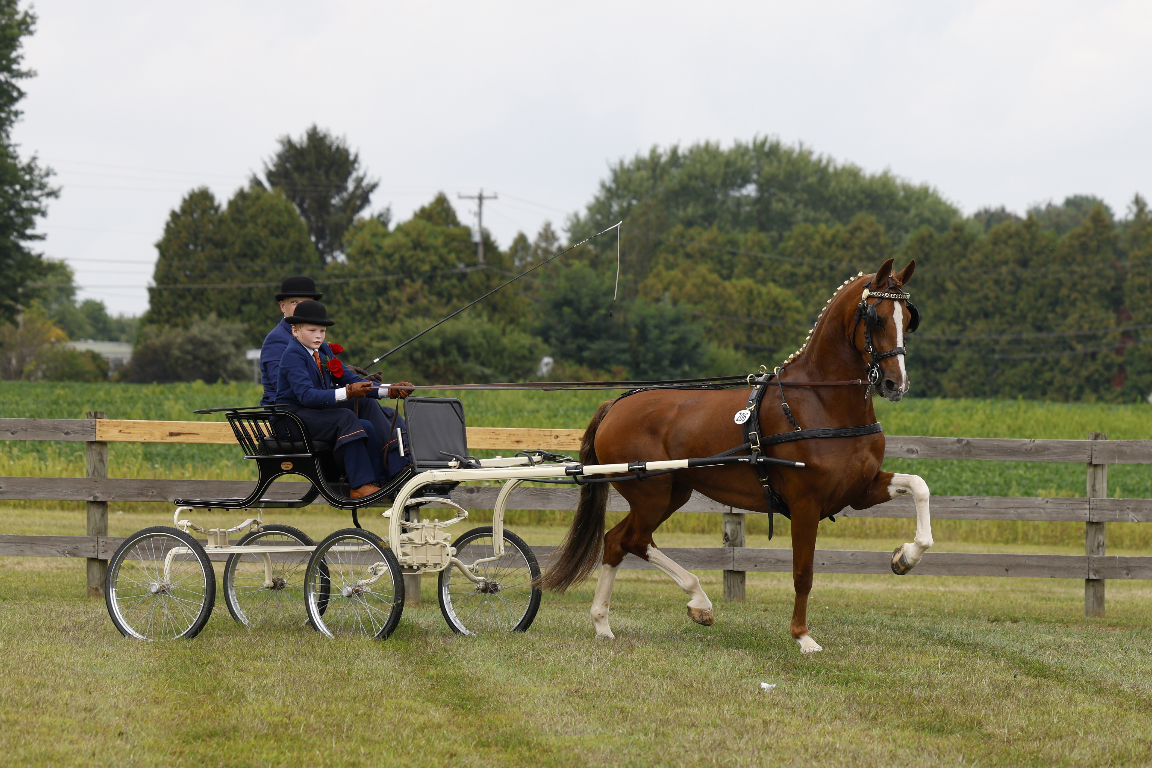 Saturday Young Riders