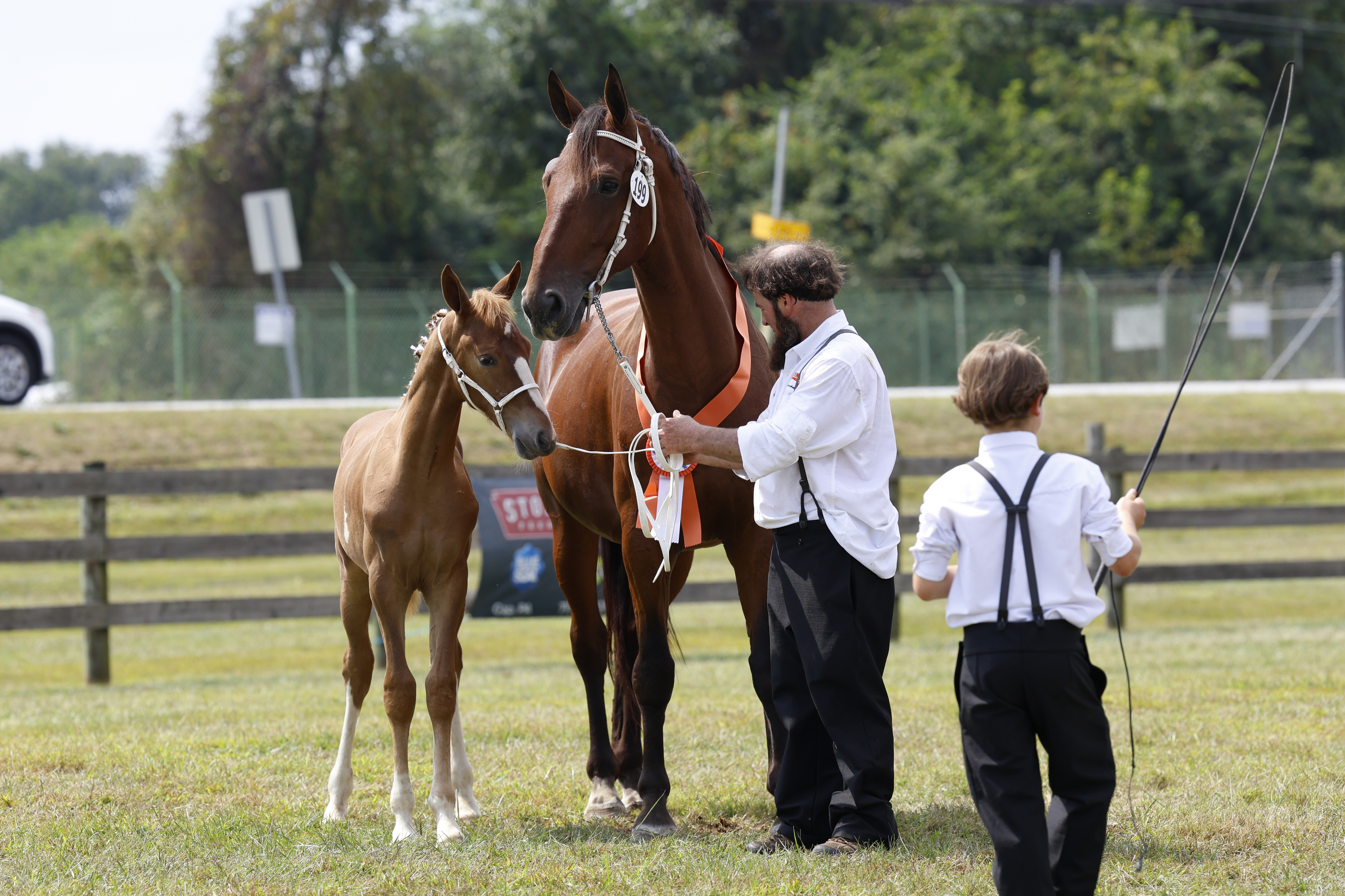 Saturday Weanling Championship