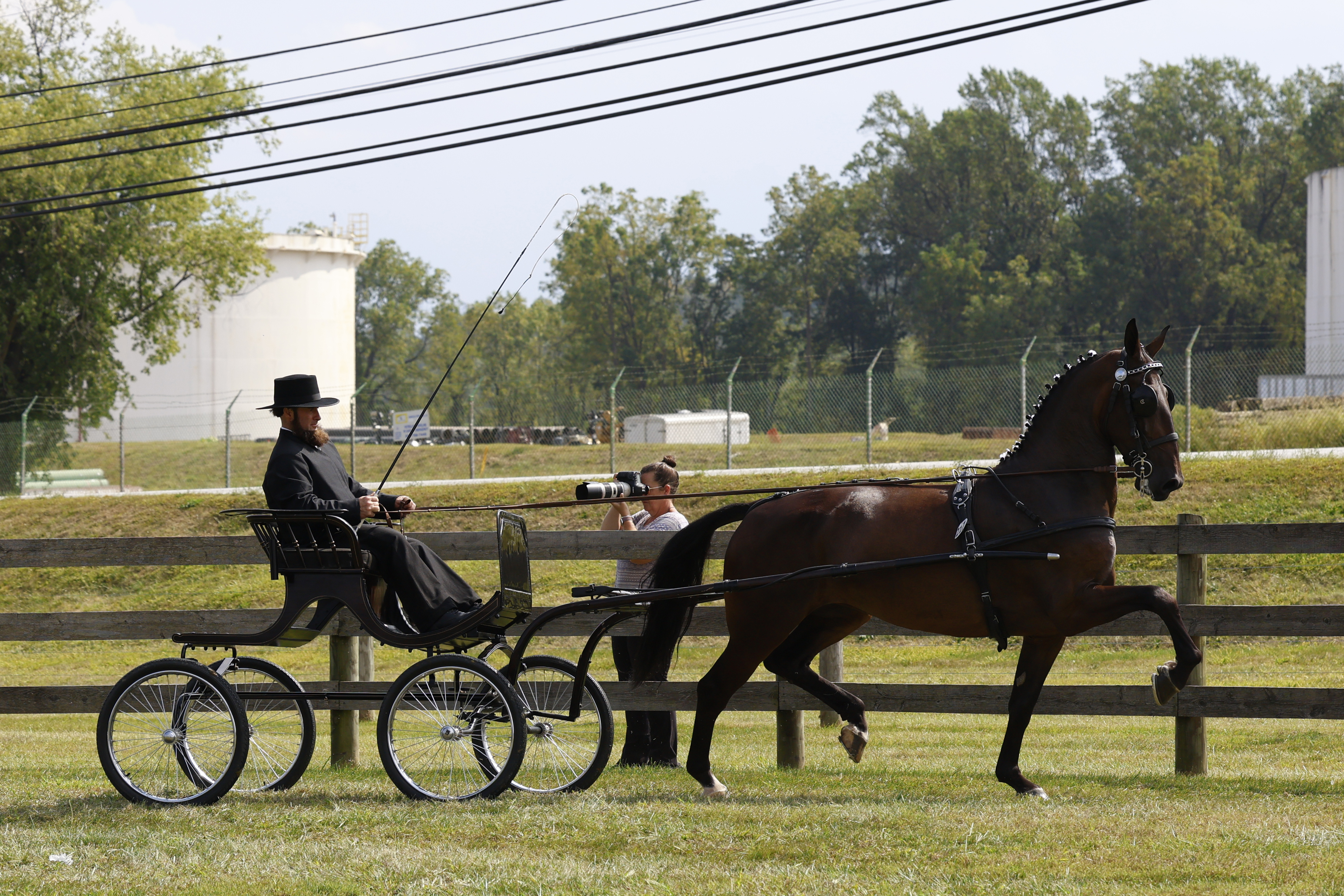 Saturday Fine Harness Cup Mares