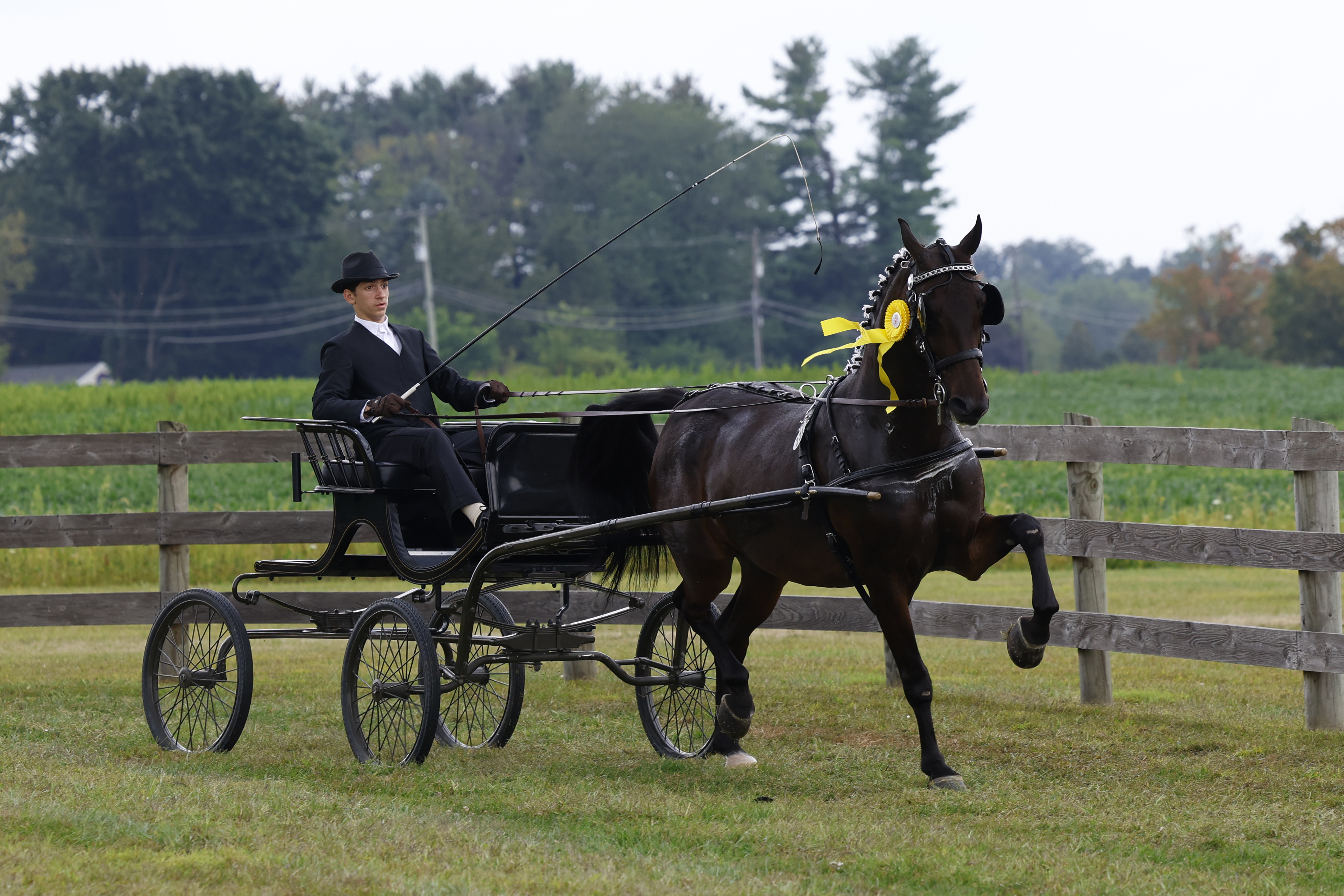 Saturday Young Riders