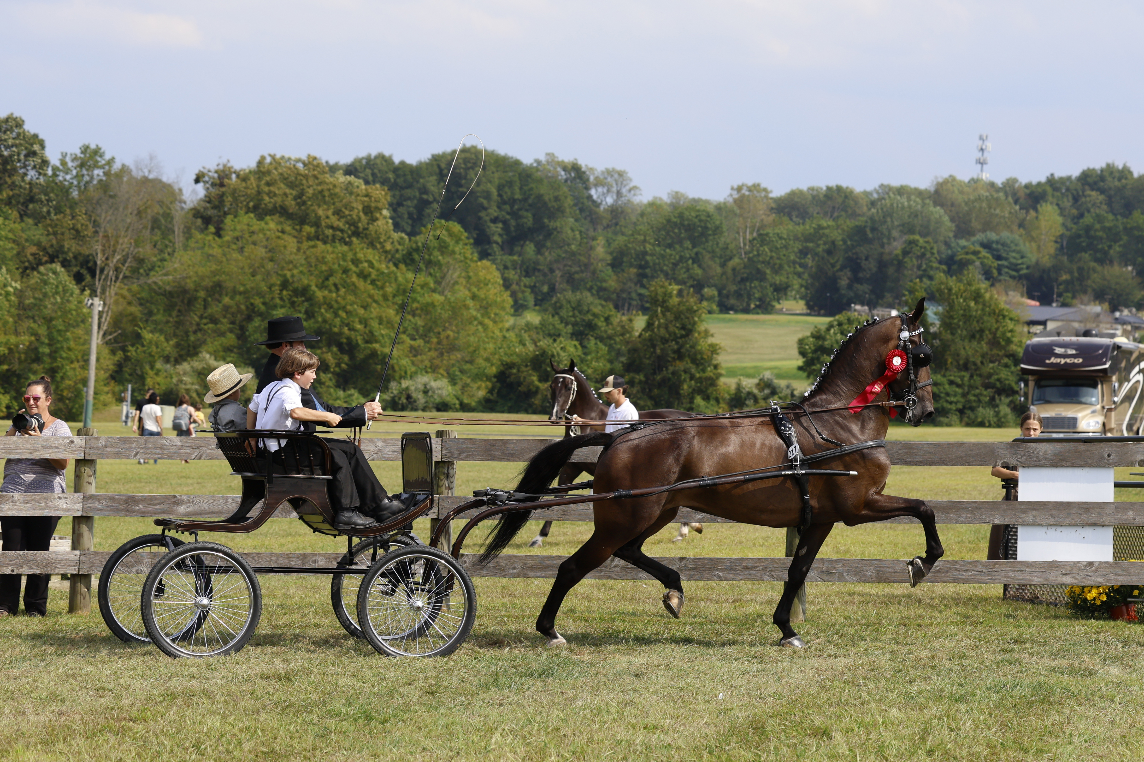 Saturday Fine Harness Cup Mares