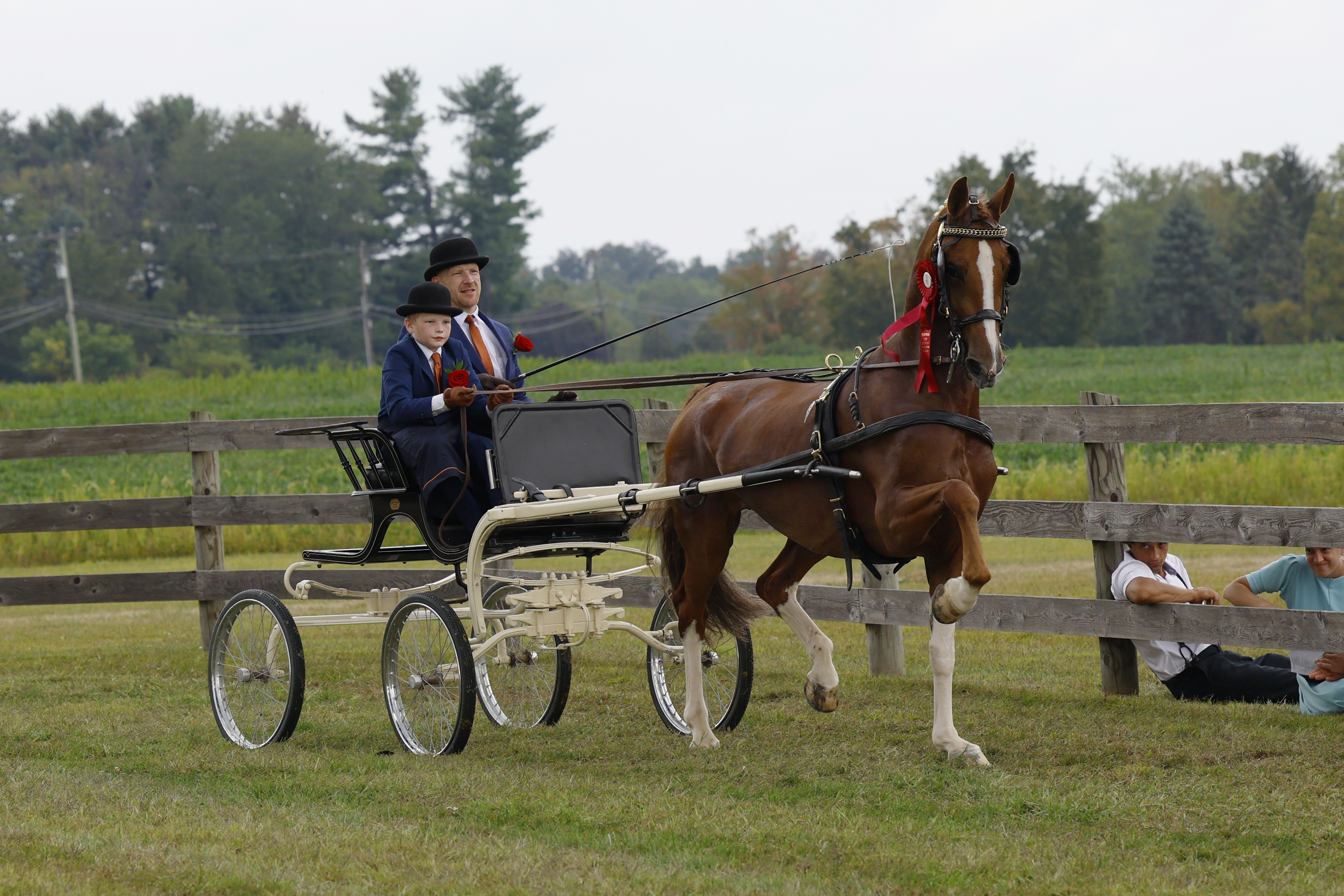 Saturday Young Riders