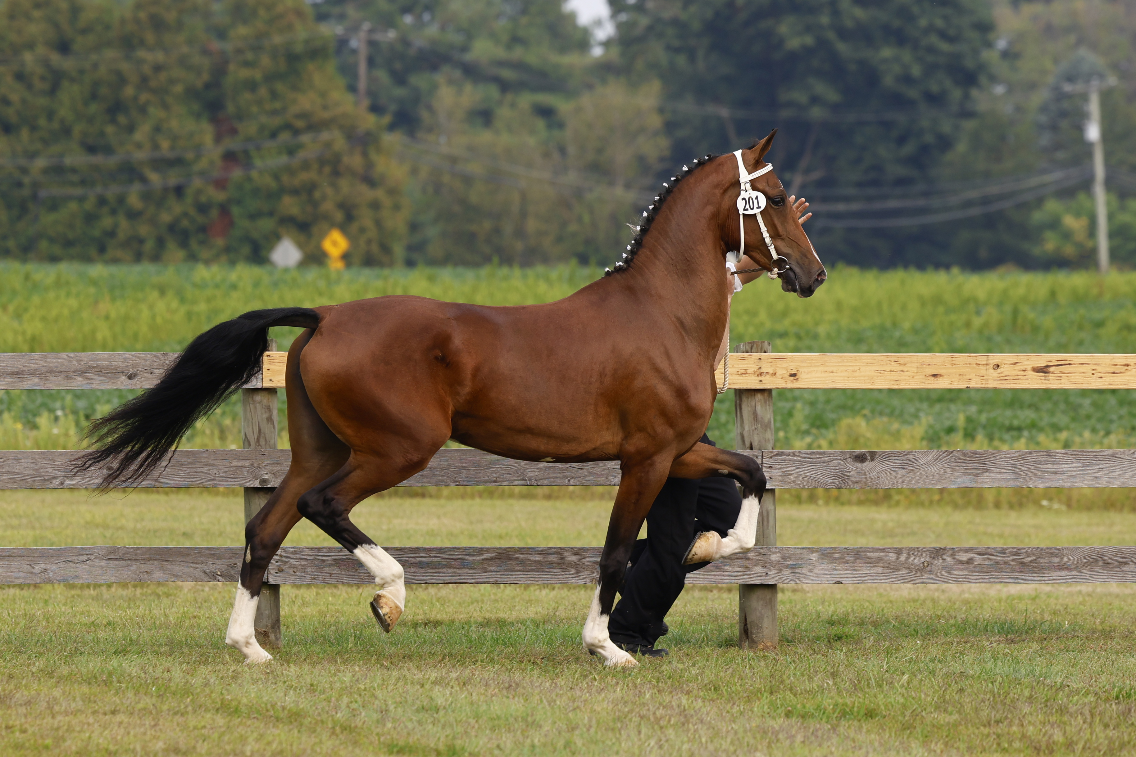 Saturday 2 Year Olds