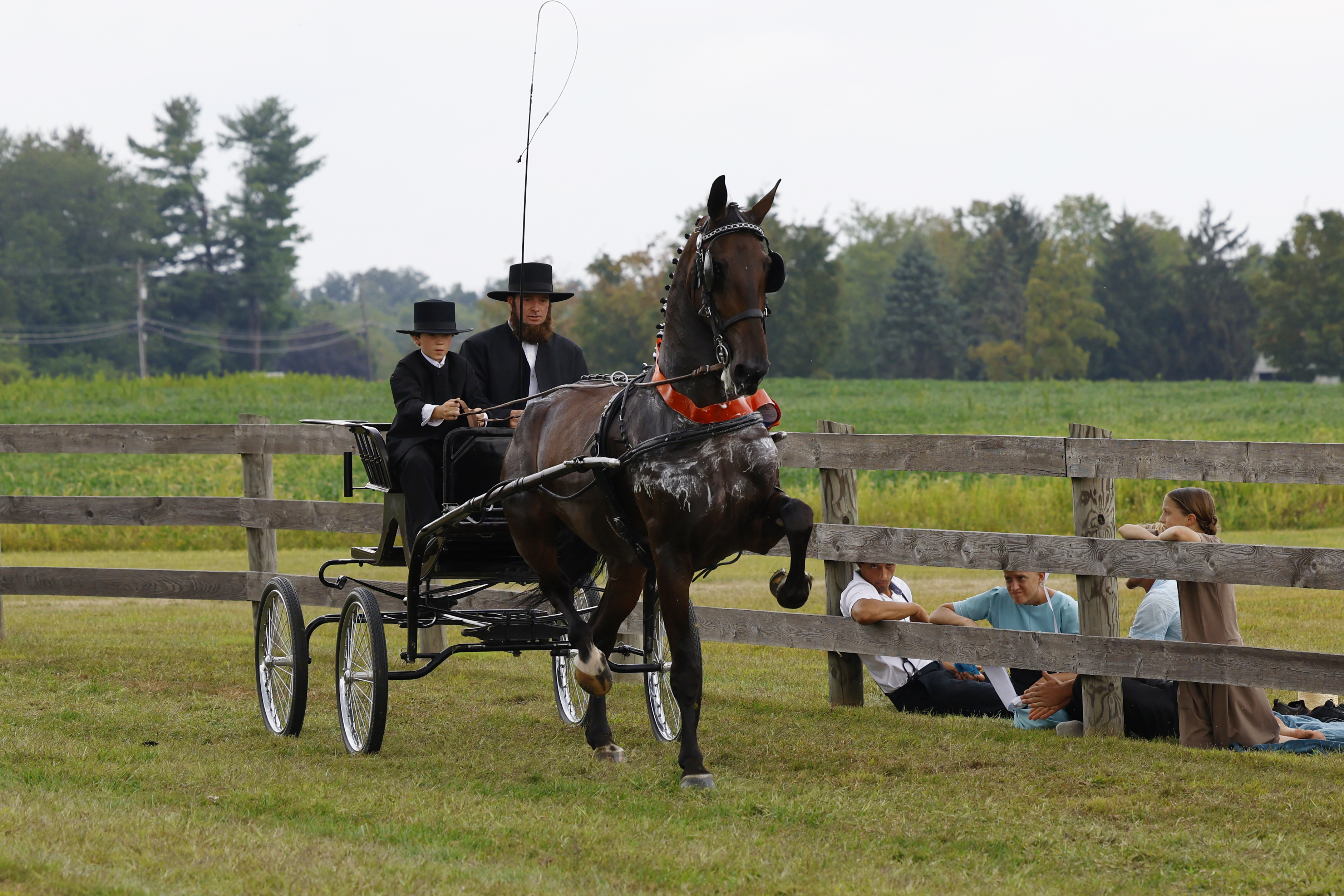 Saturday Young Riders