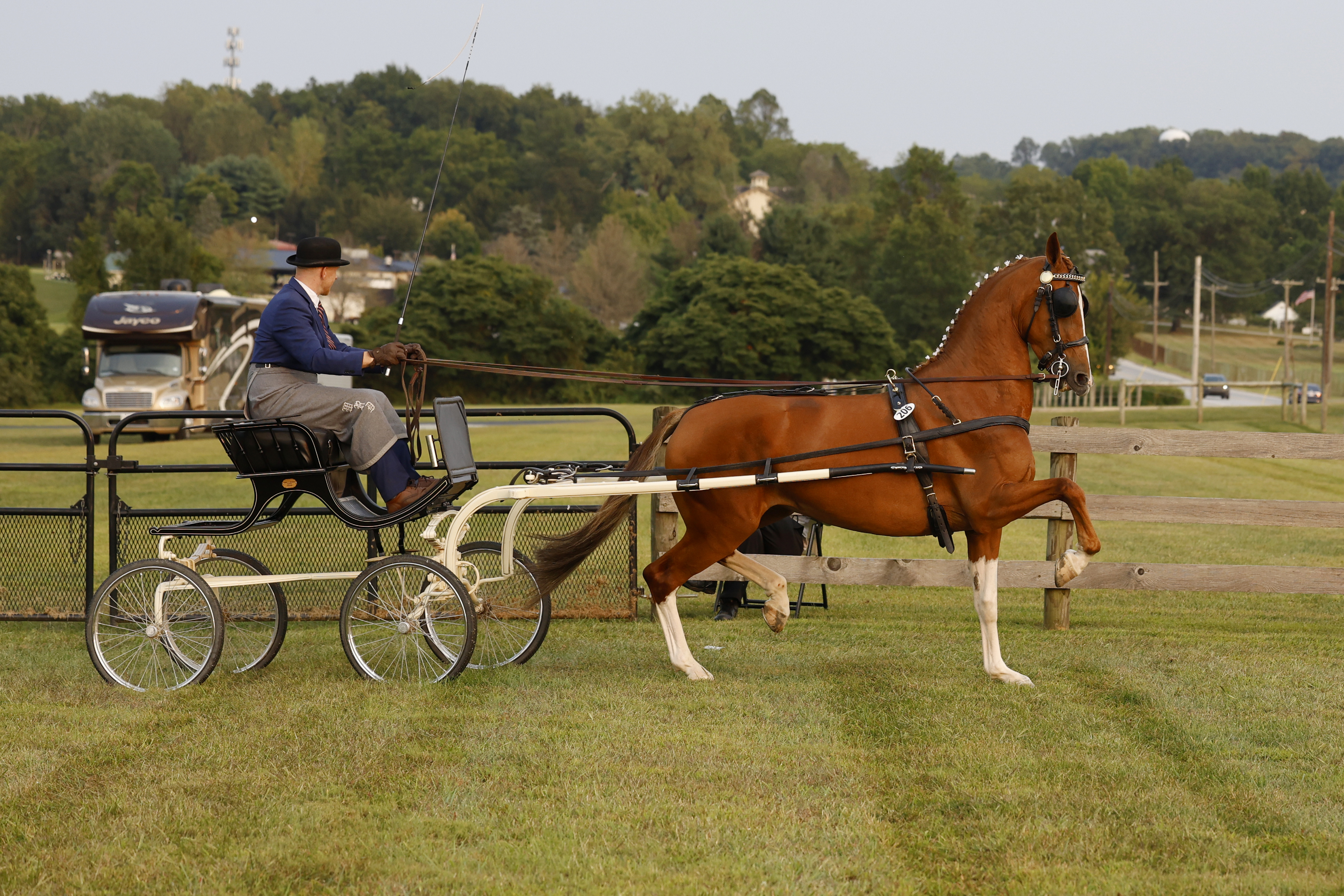 Friday Fine Harness Cup Mares