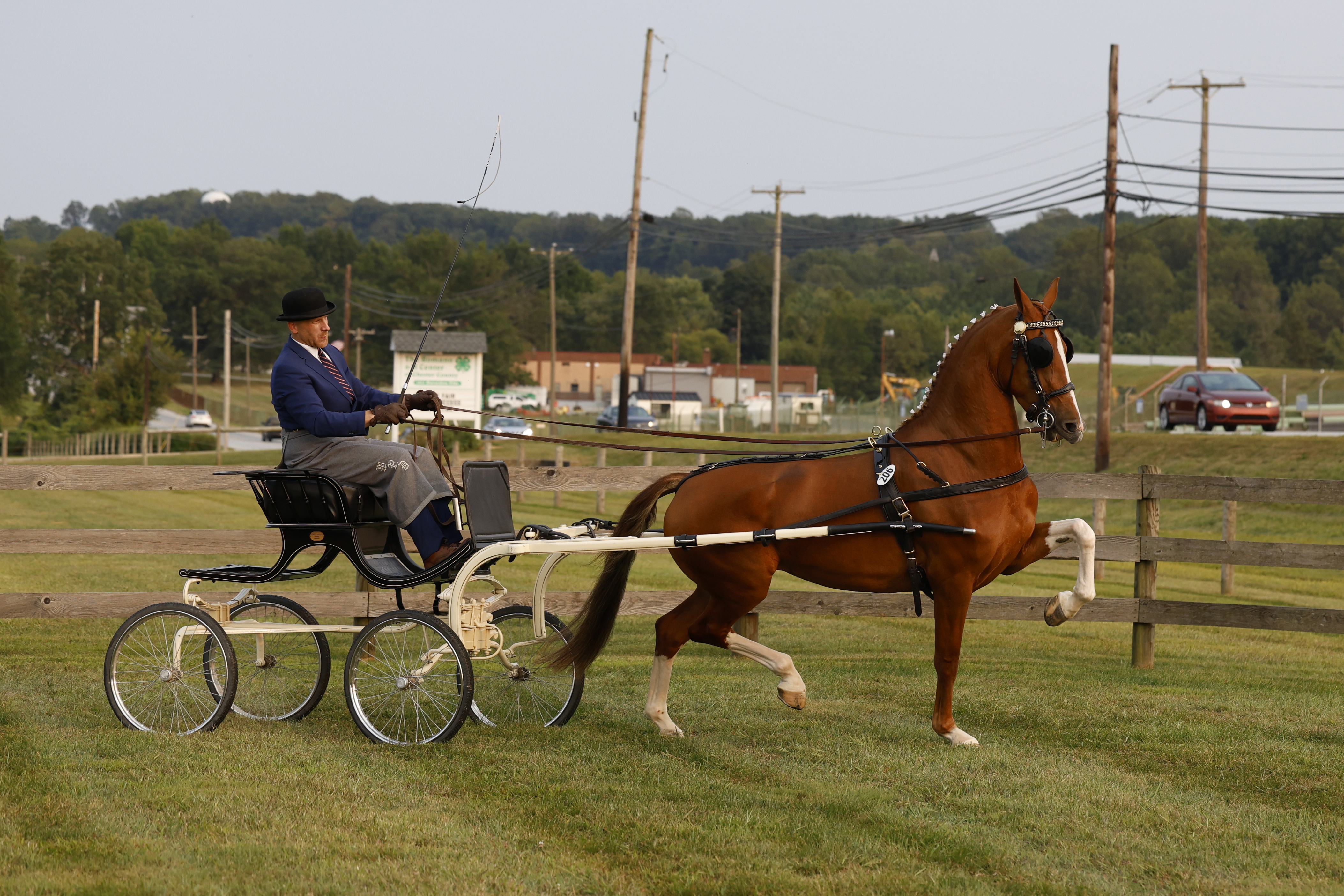 Friday Fine Harness Cup Mares