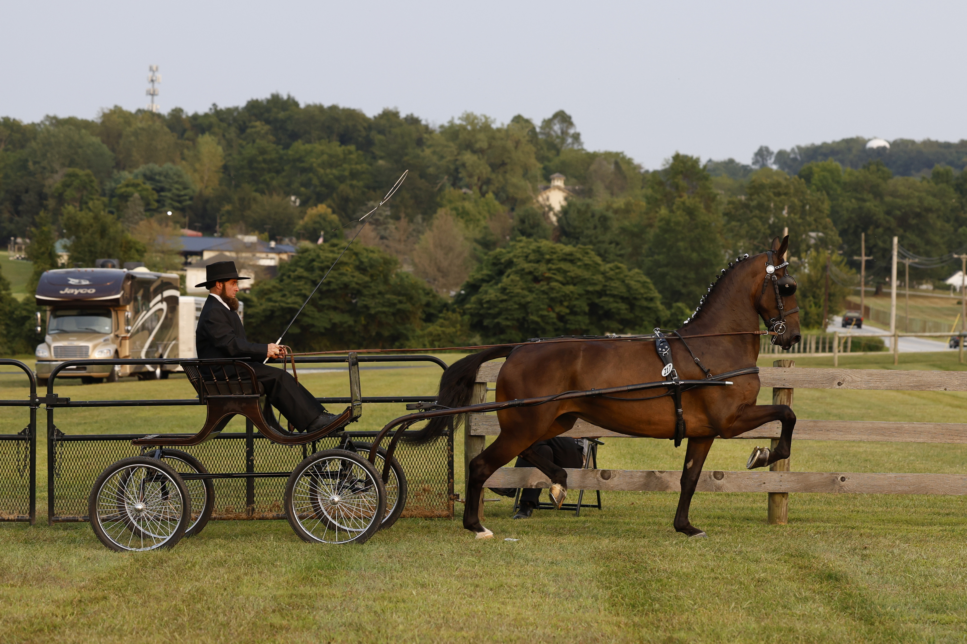 Friday Fine Harness Cup Mares
