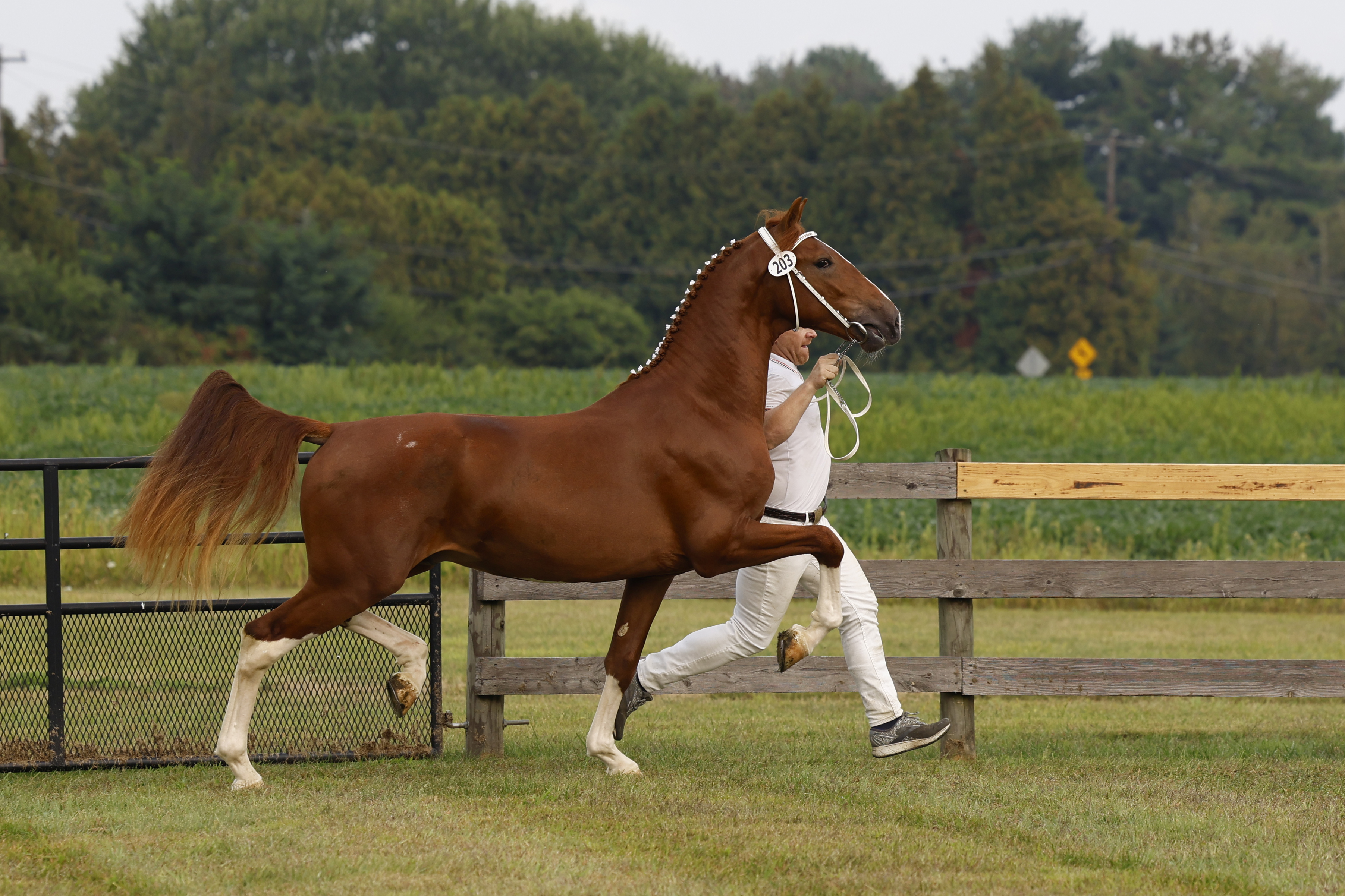 Saturday 2 Year Olds