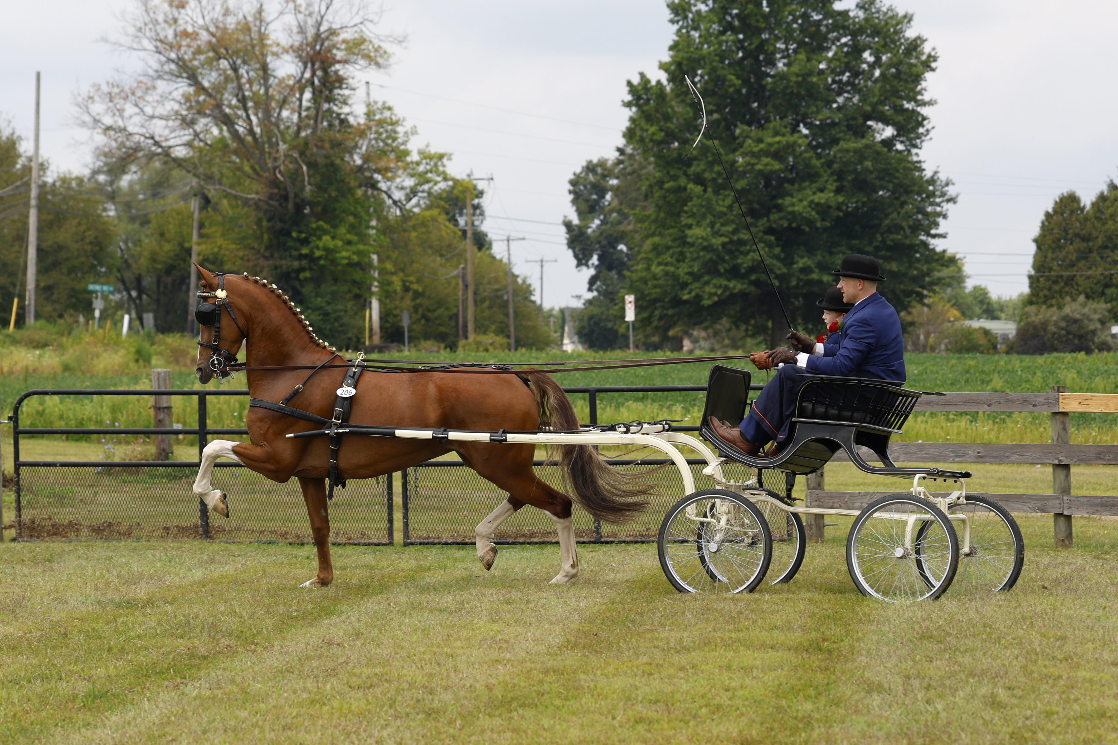 Saturday Young Riders