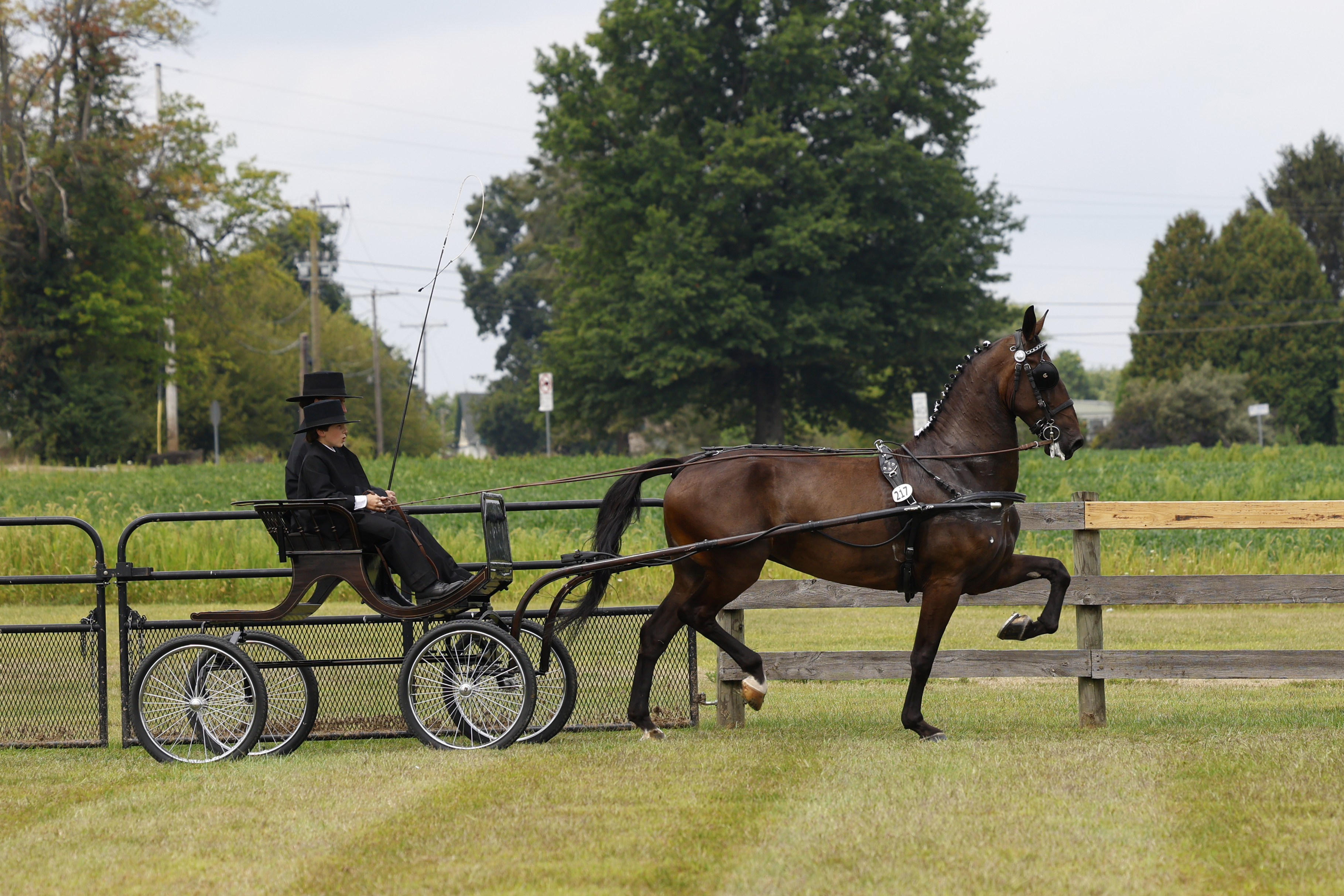 Saturday Young Riders
