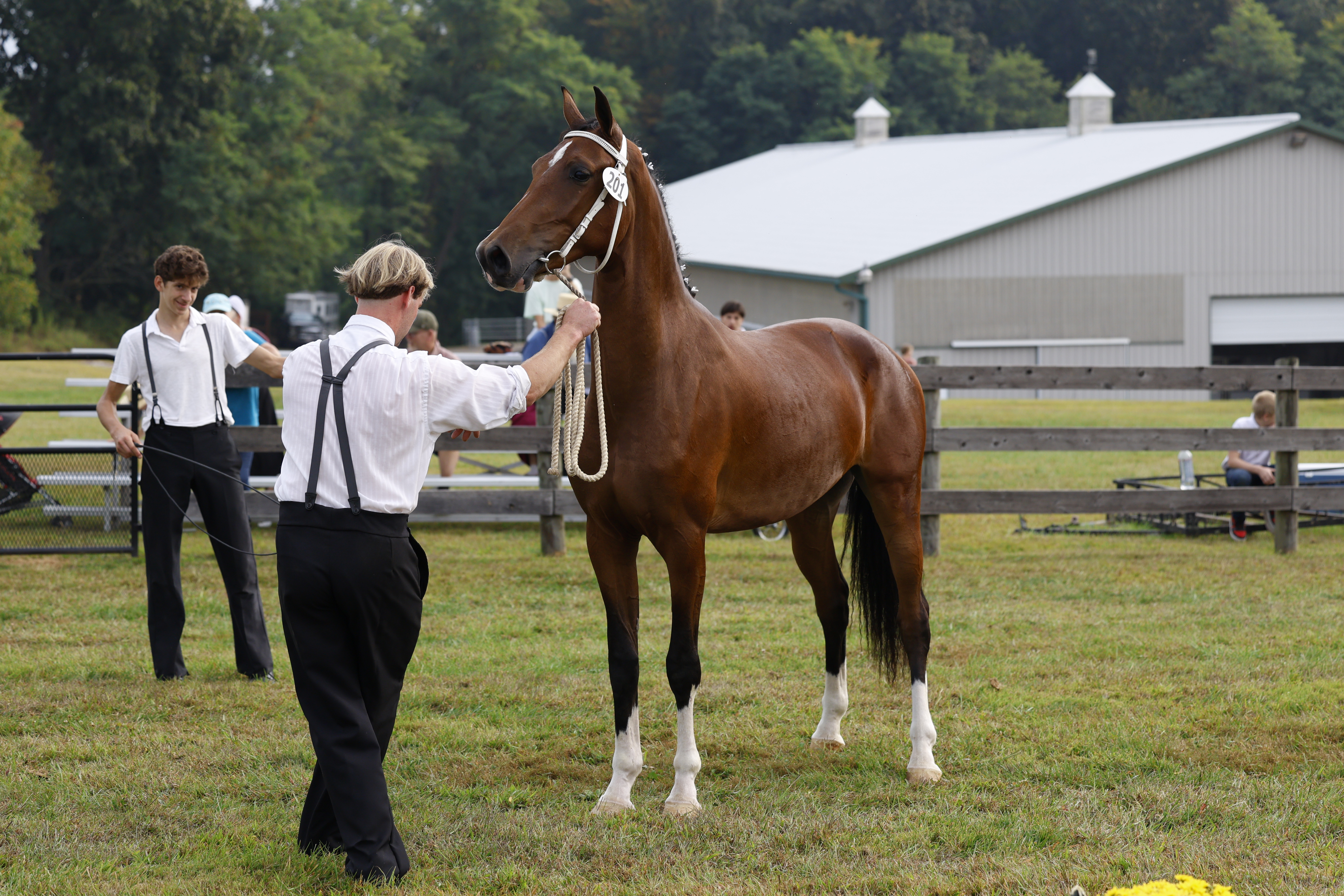 Saturday 2 Year Olds