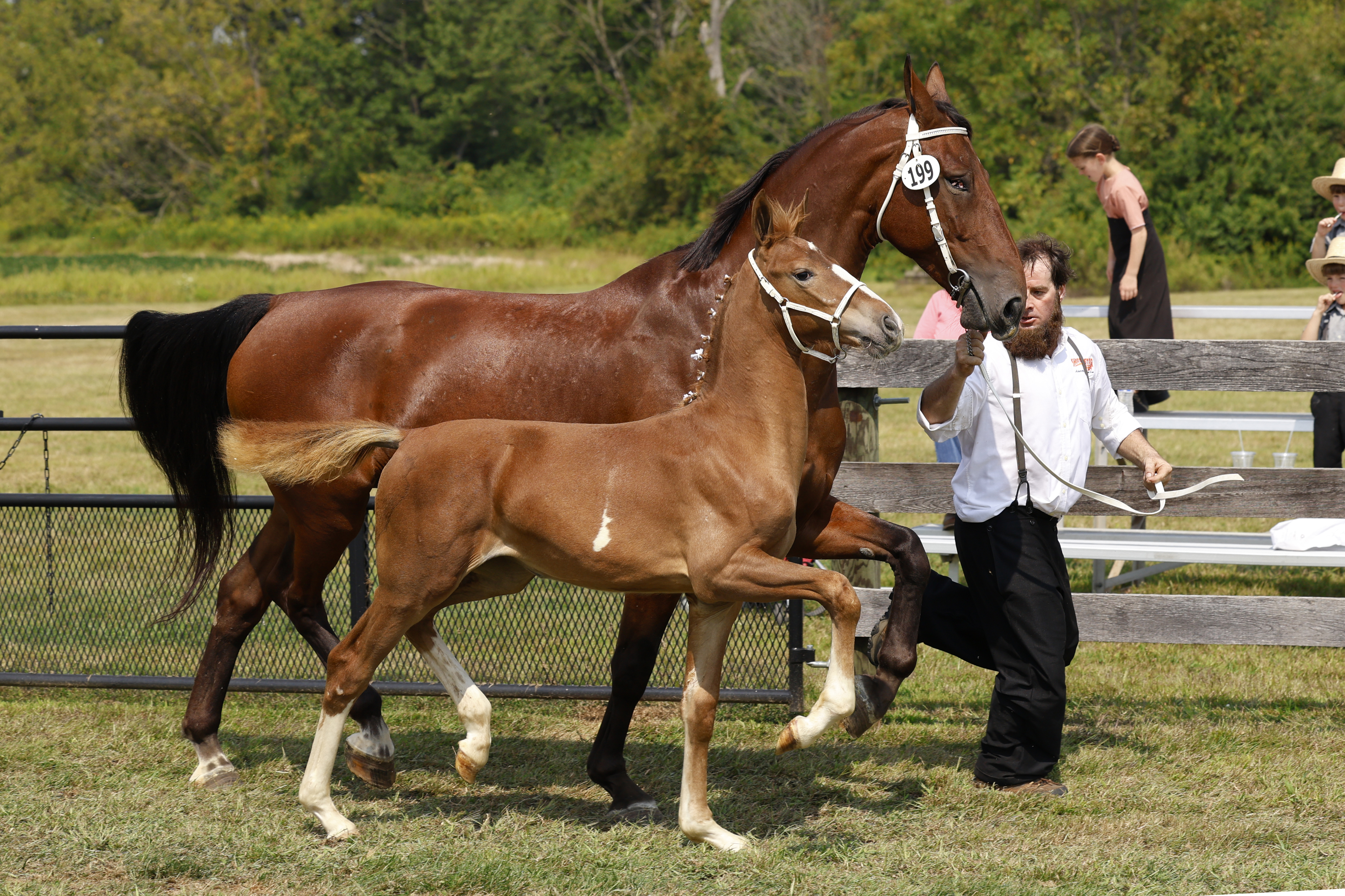Saturday Weanling Championship
