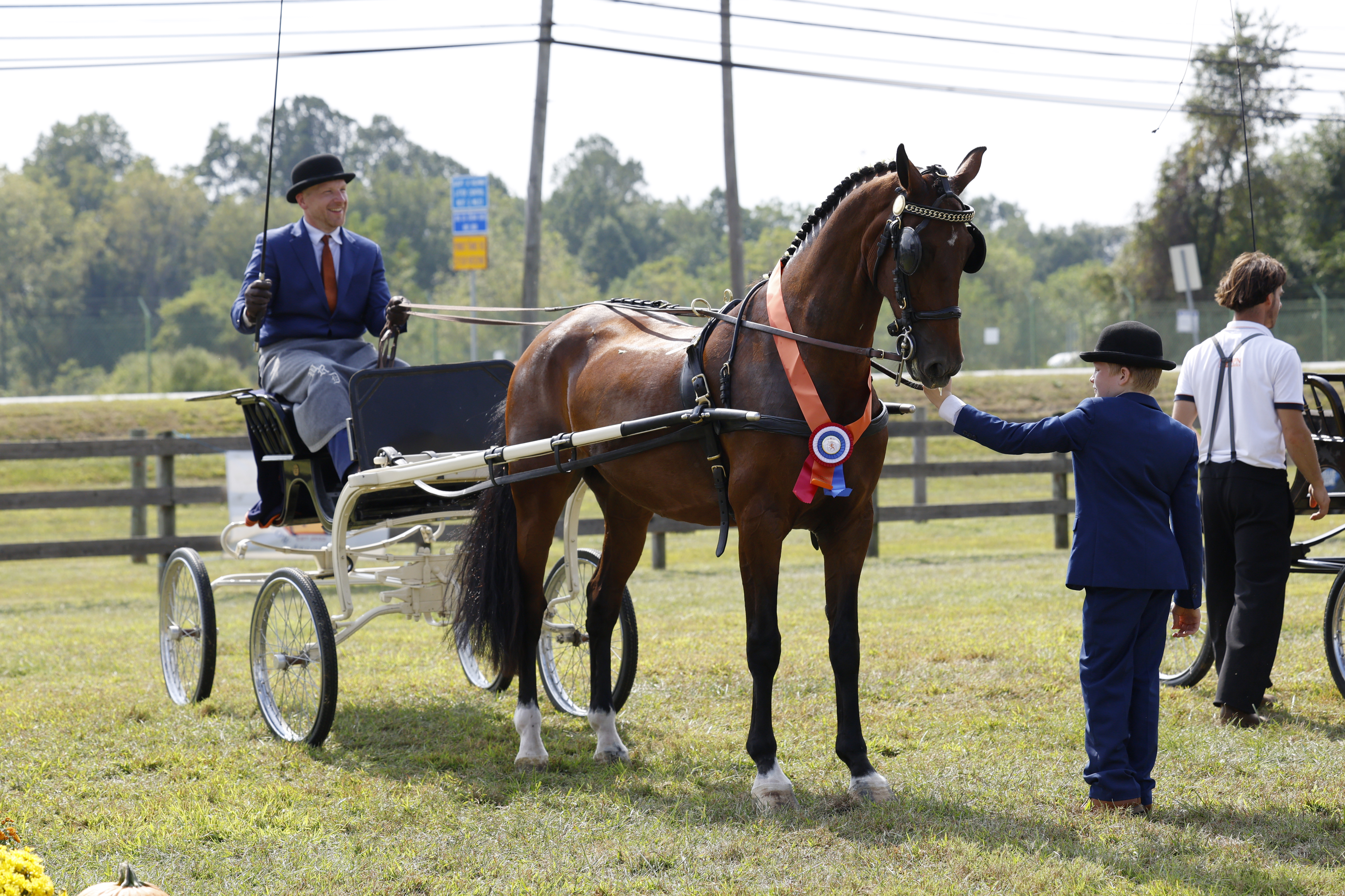 Saturday Fine Harness Cup Mares