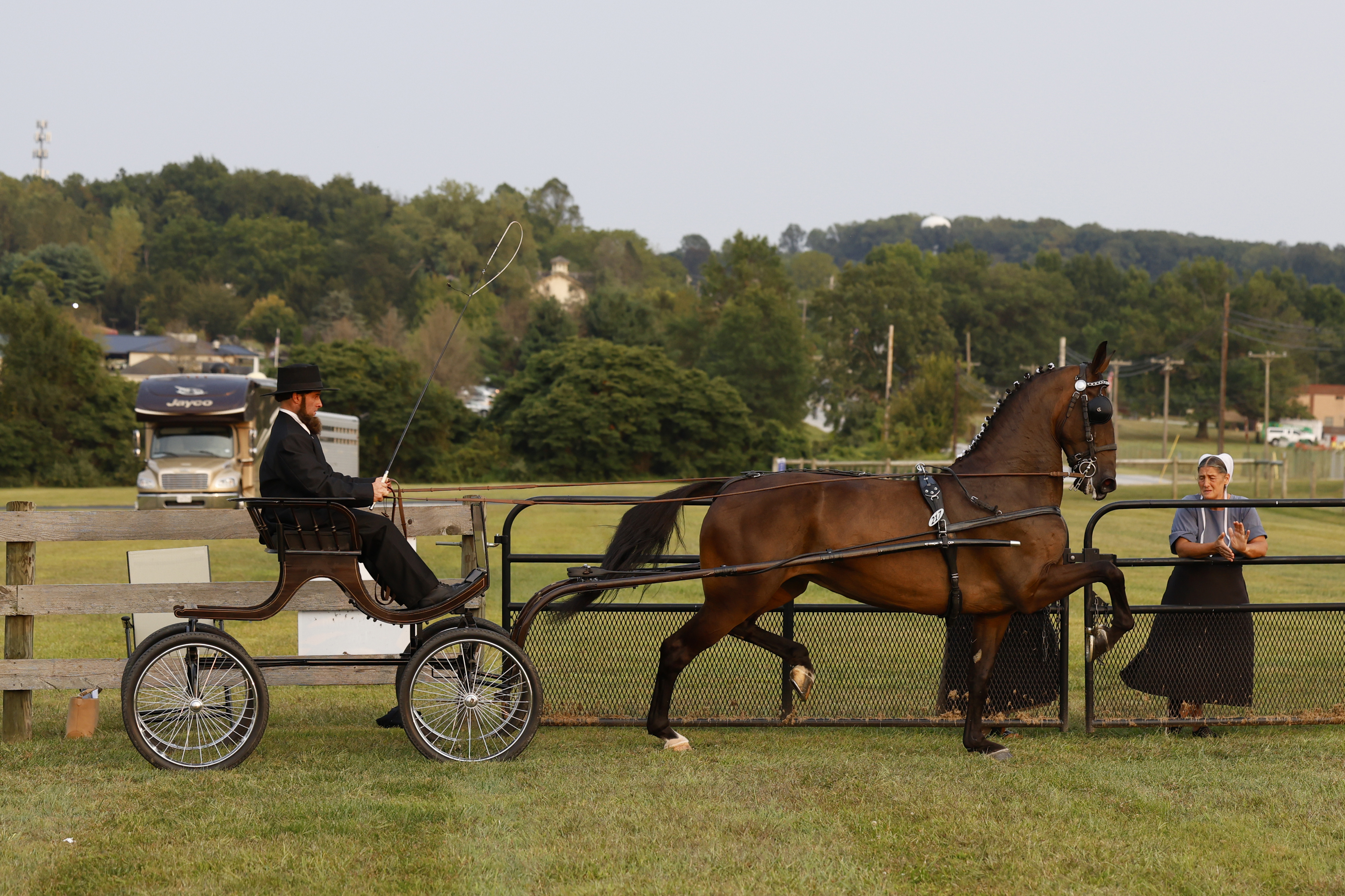Friday Fine Harness Cup Mares