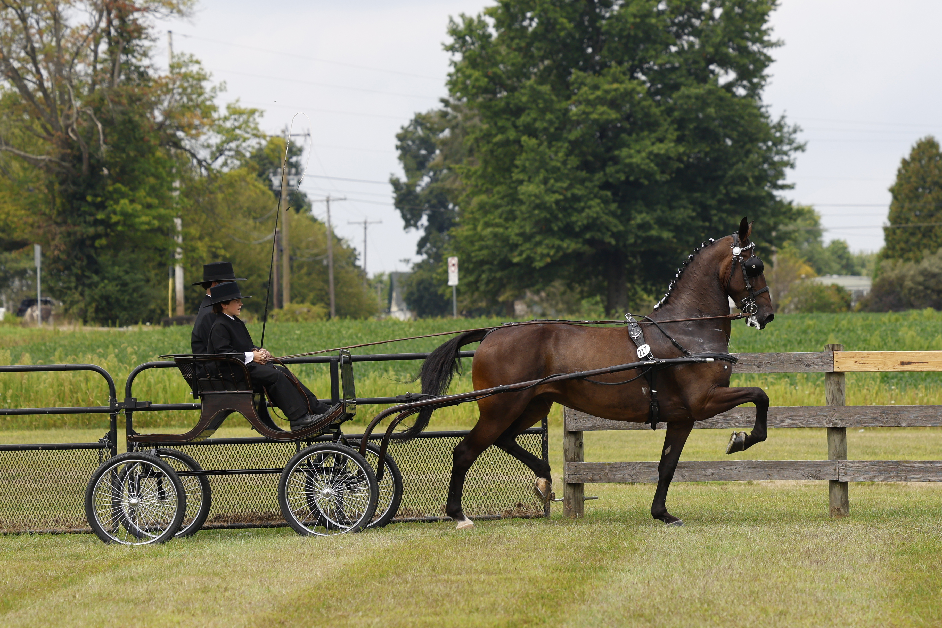 Saturday Young Riders