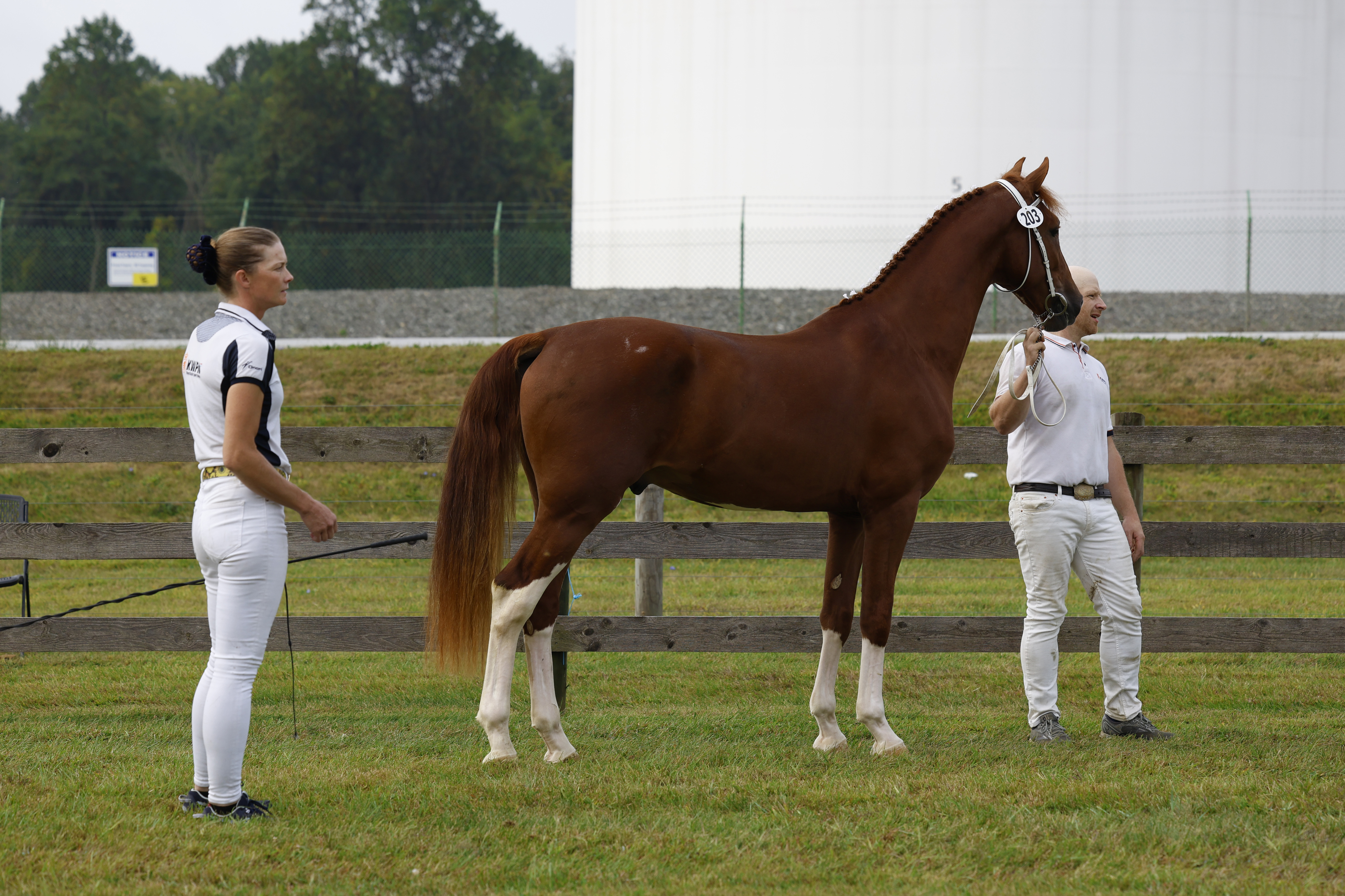 Saturday 2 Year Olds