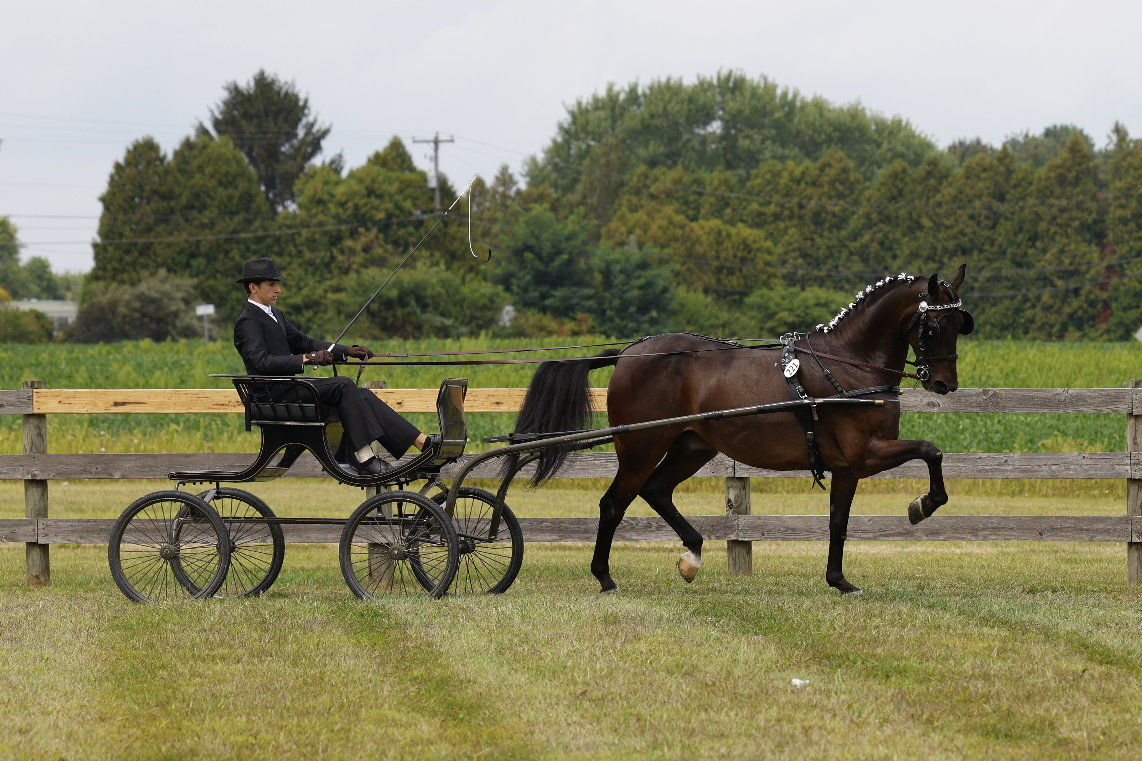 Saturday Young Riders