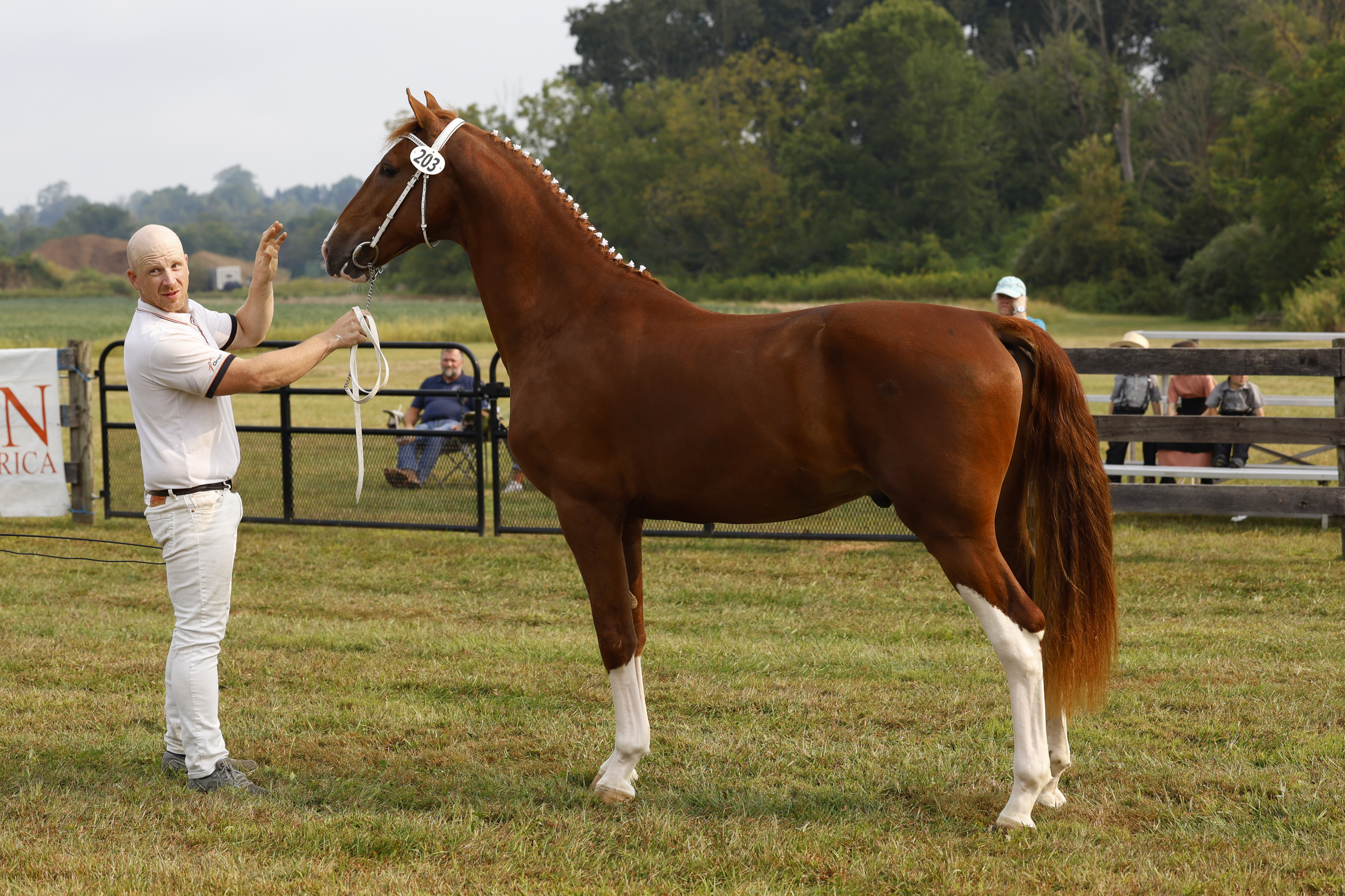 Saturday 2 Year Olds