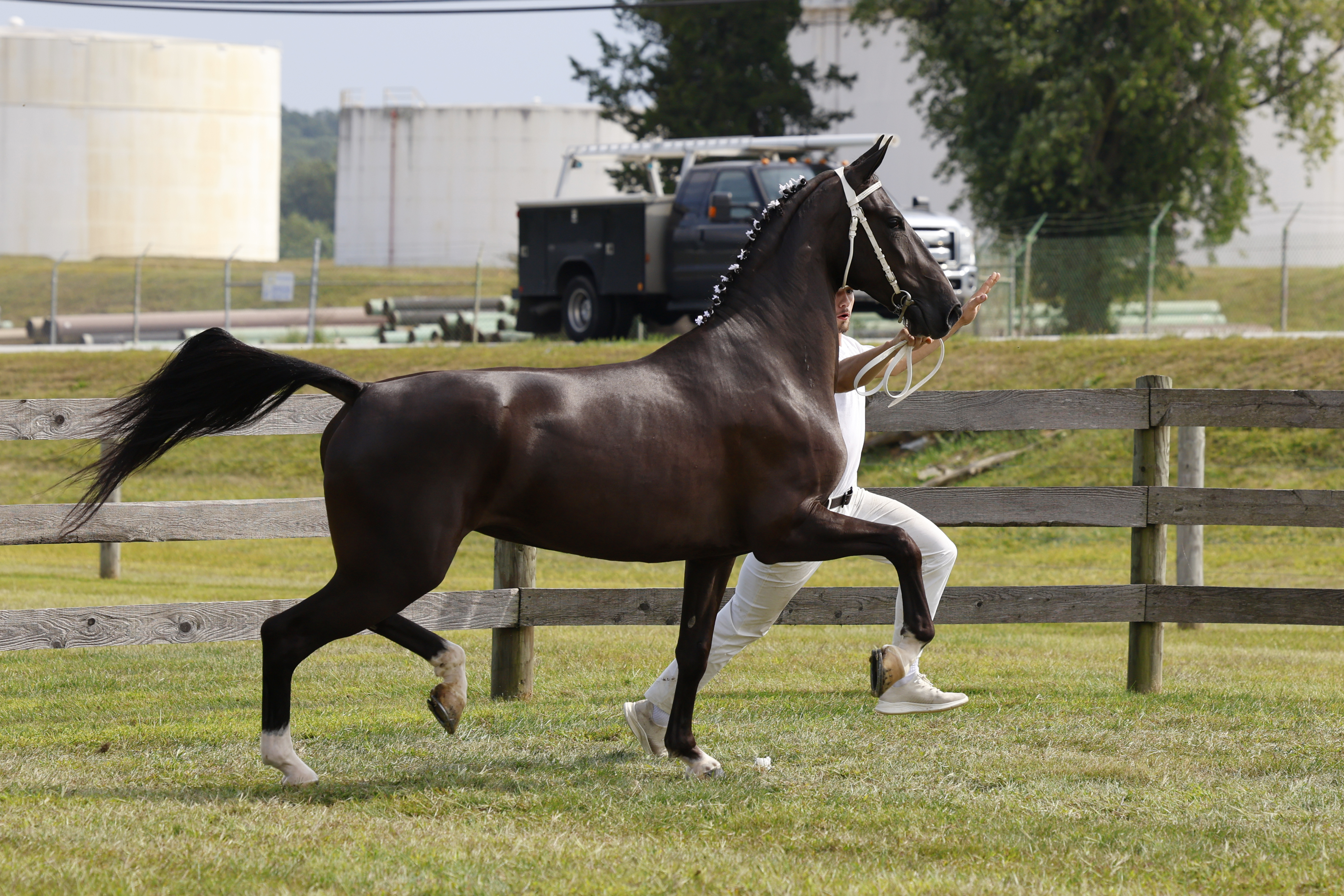 Saturday Eebert Award