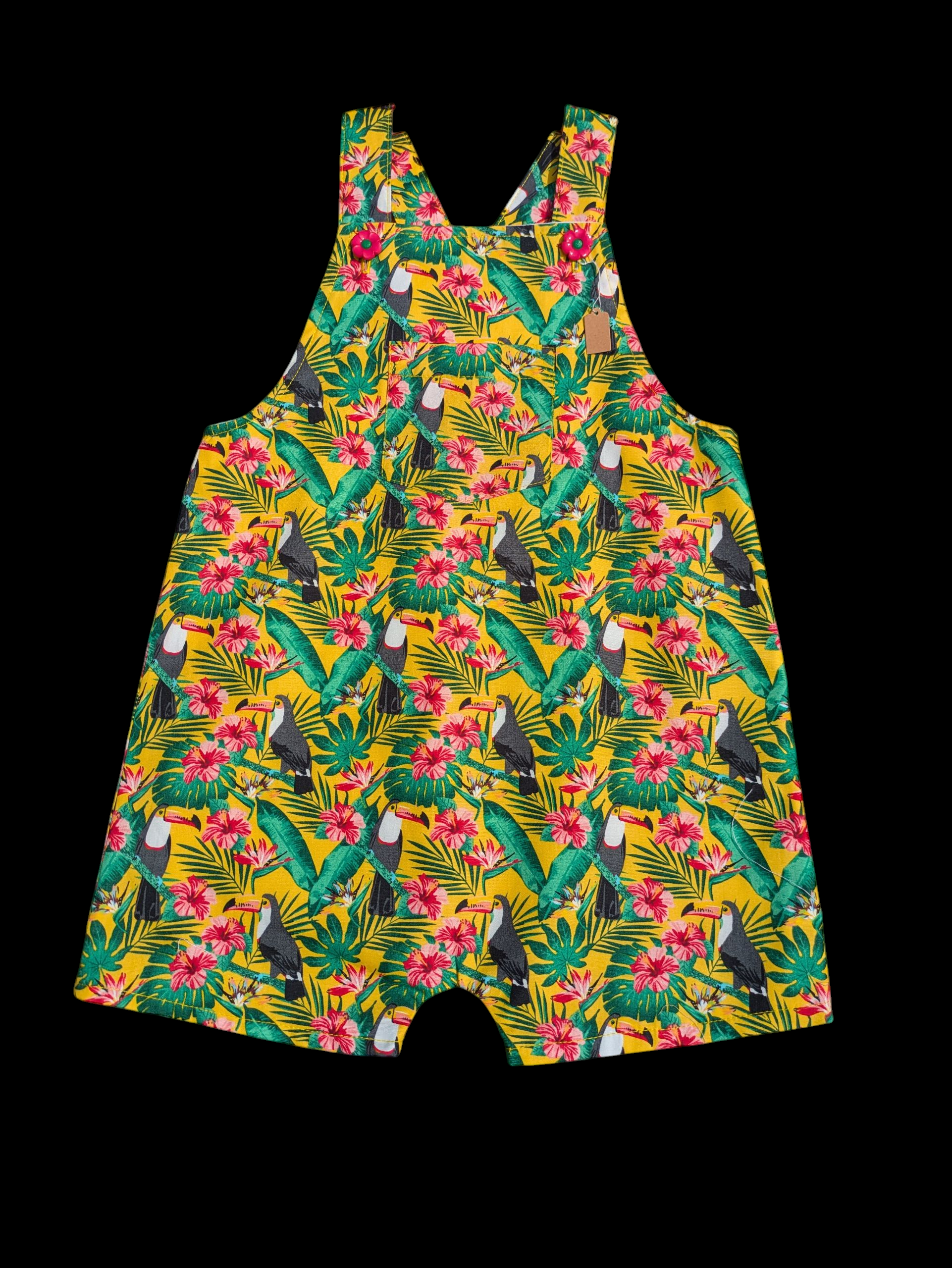 Toucans 2-3