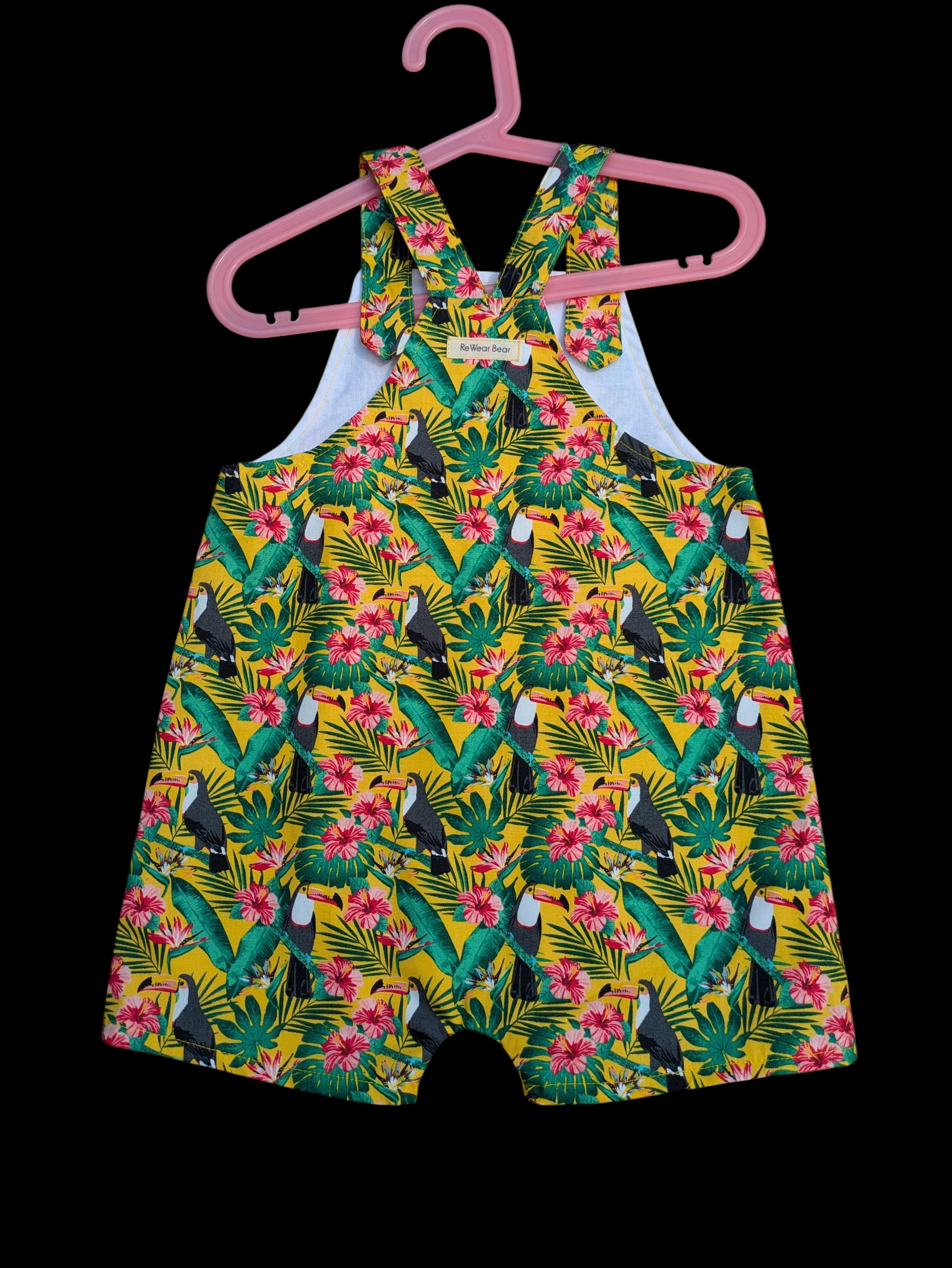 Toucans 2-3
