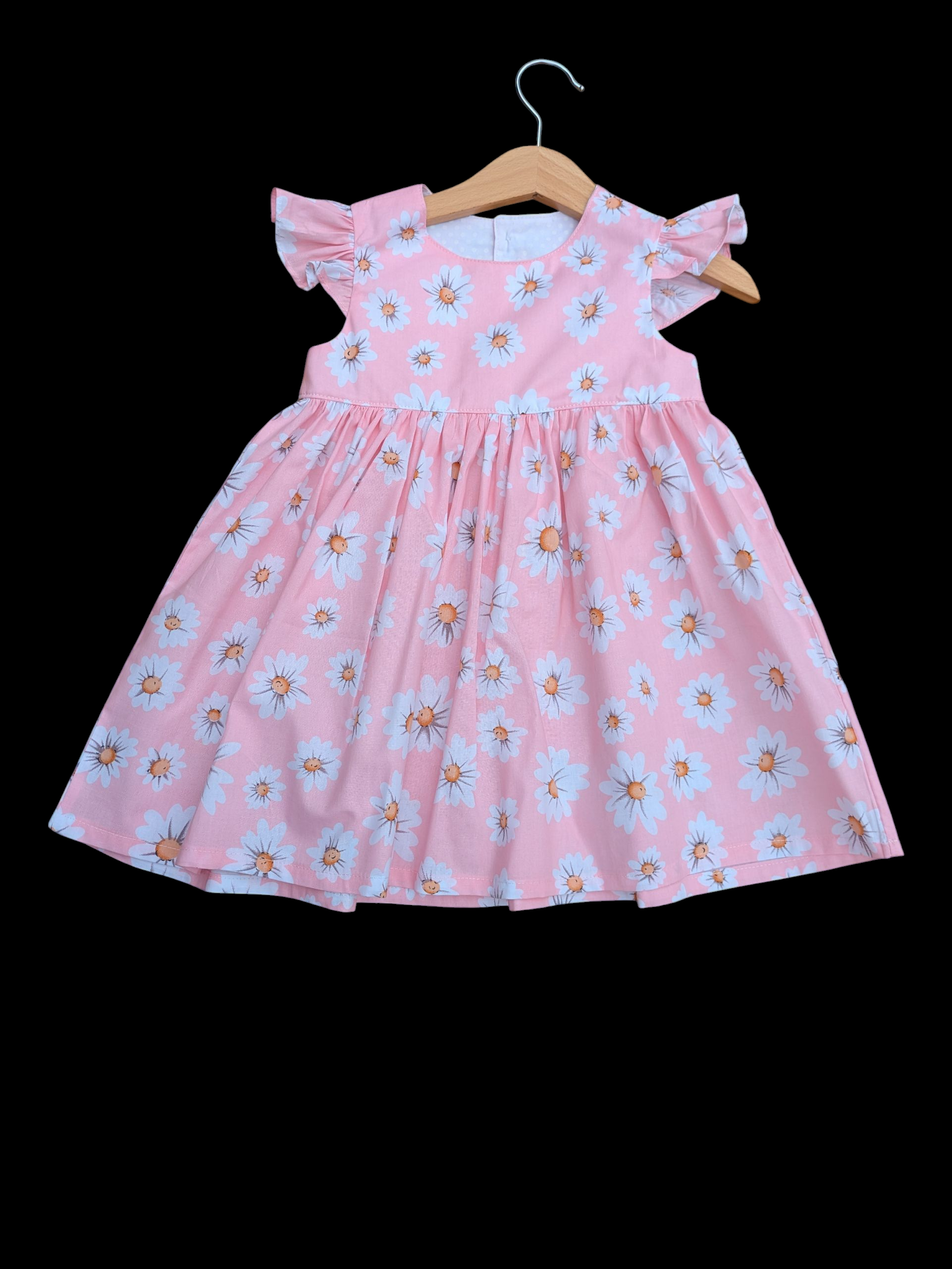 Daisies 1-2y