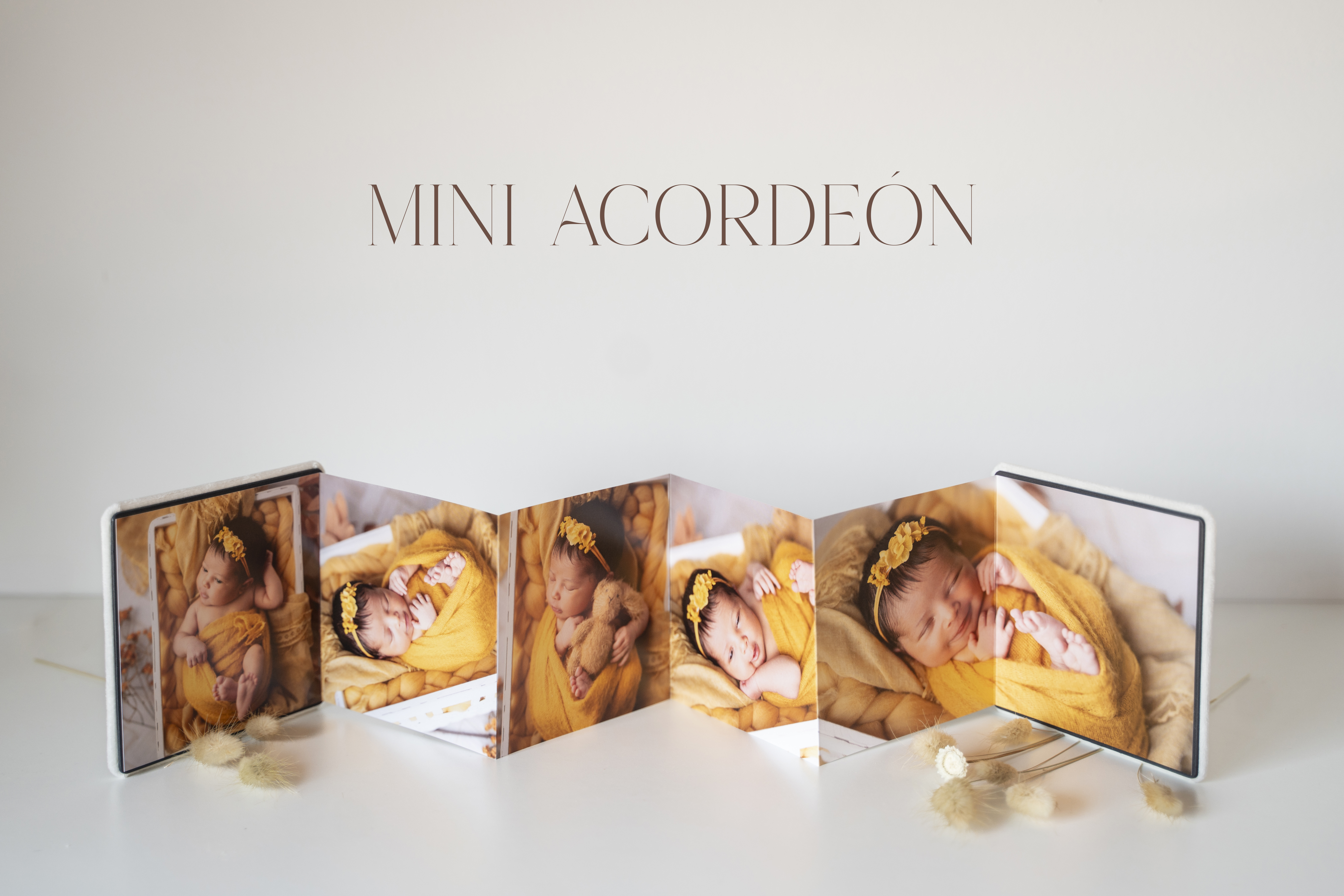 Mini libro acordeón
