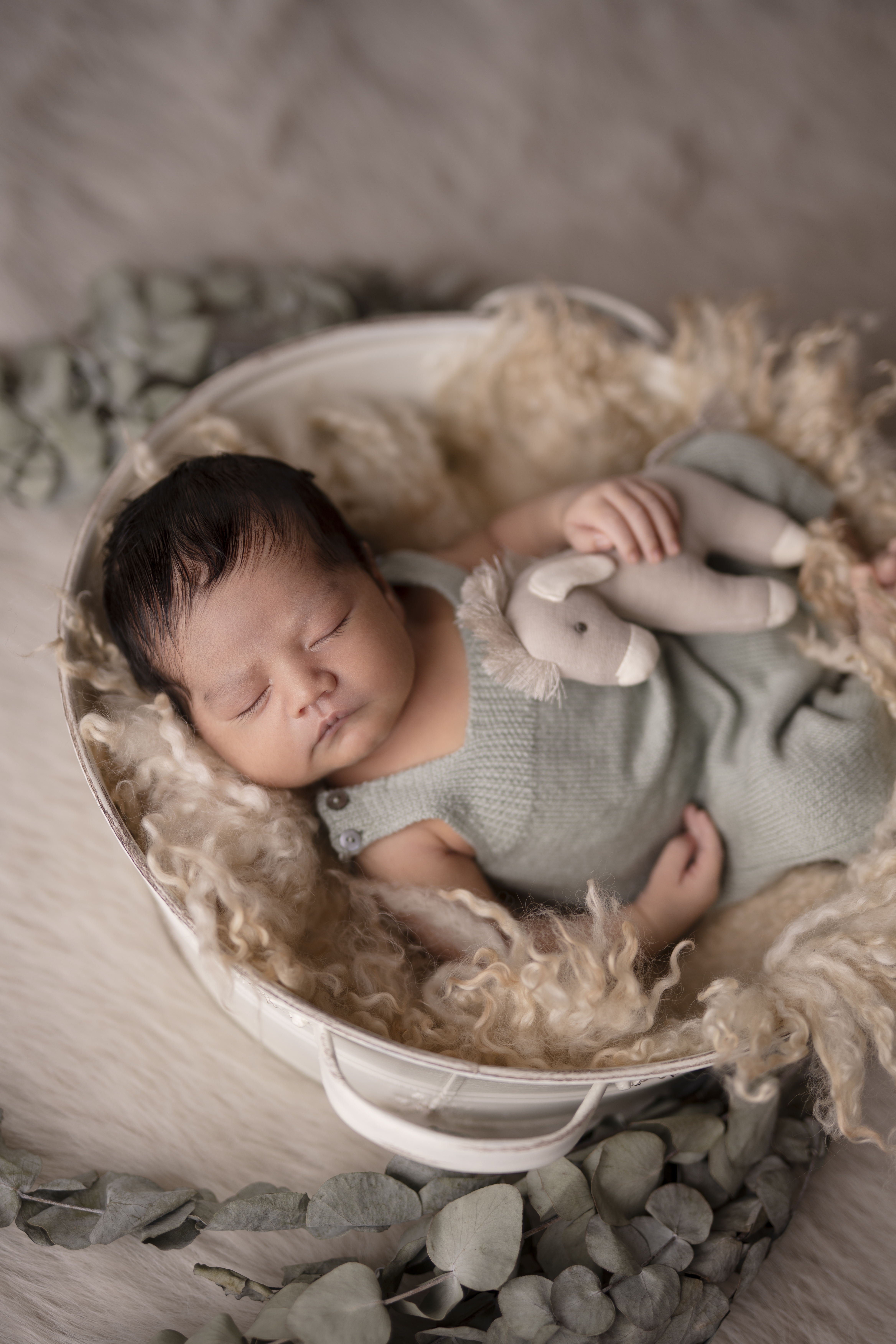 Pack Estrella Newborn