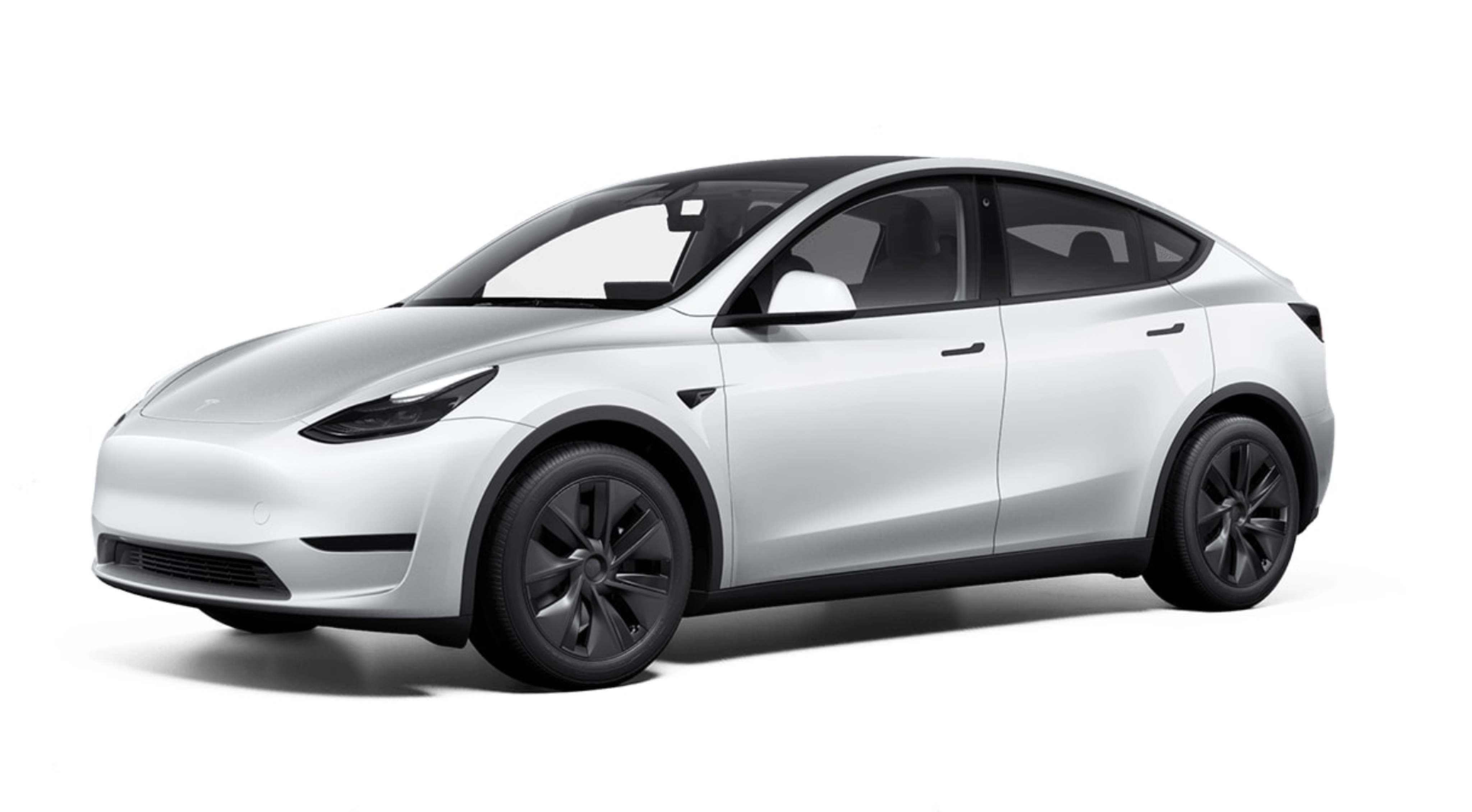 Tesla Model Y with Driver - Full Day