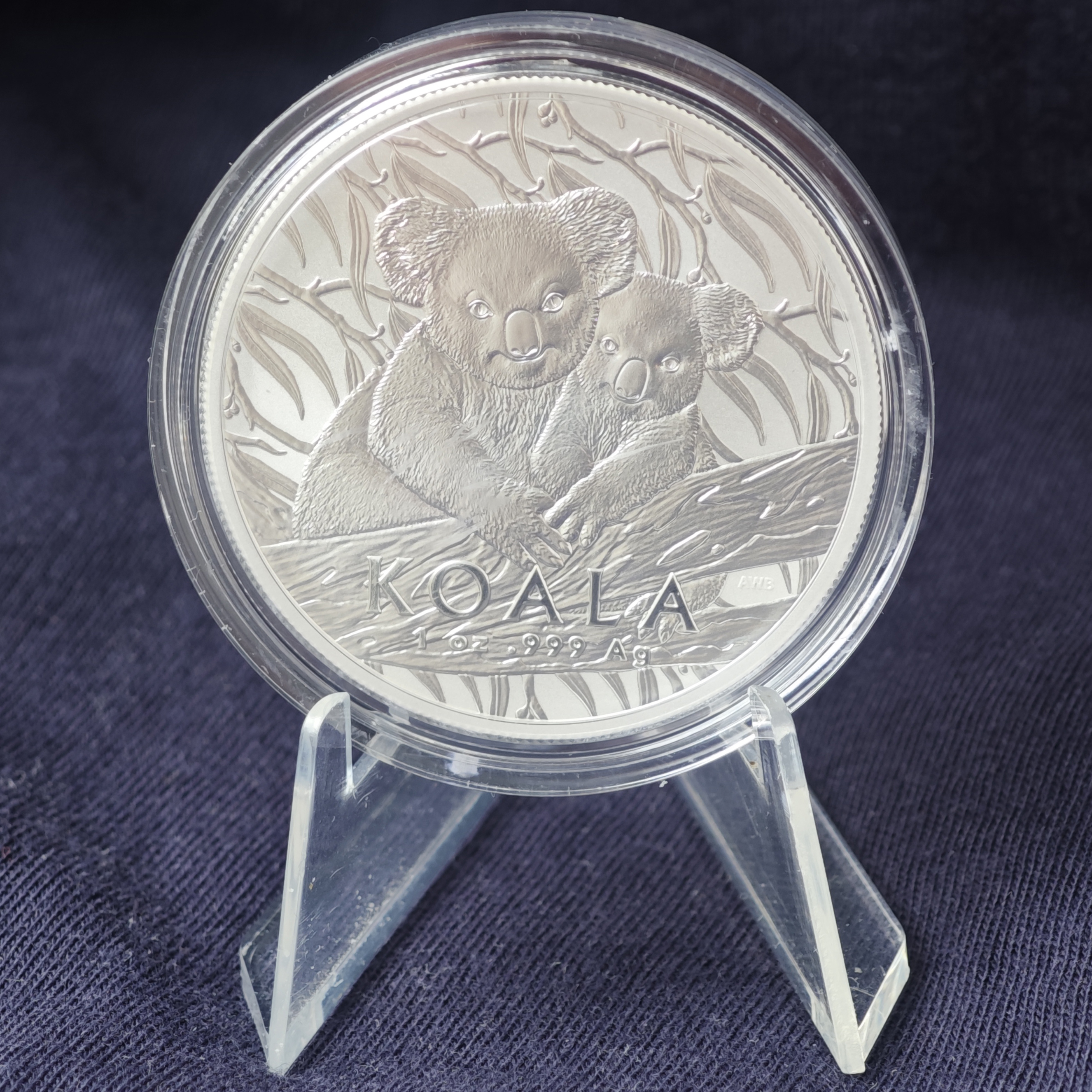 RAM: Коала 2025