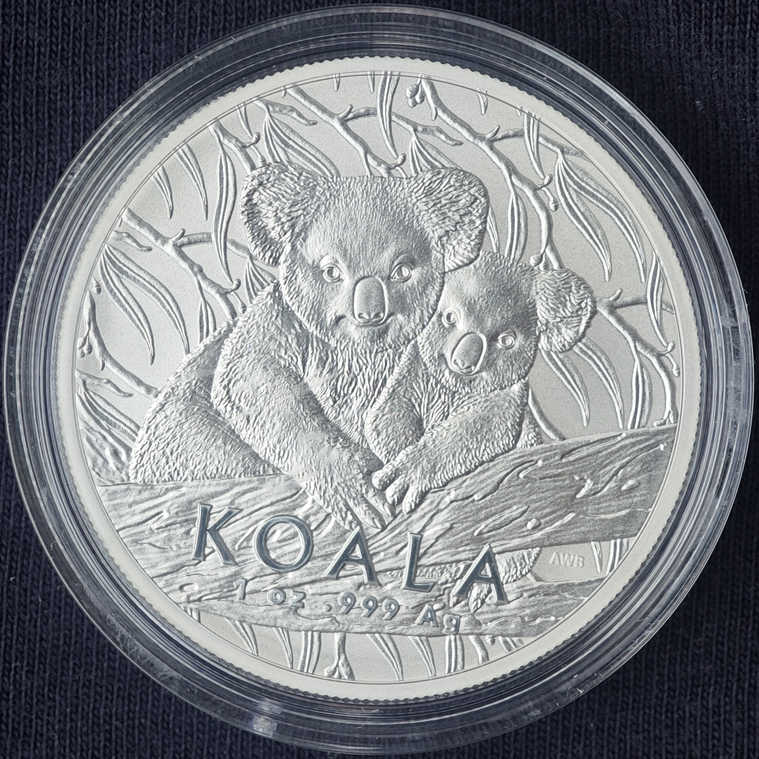 RAM: Коала 2025