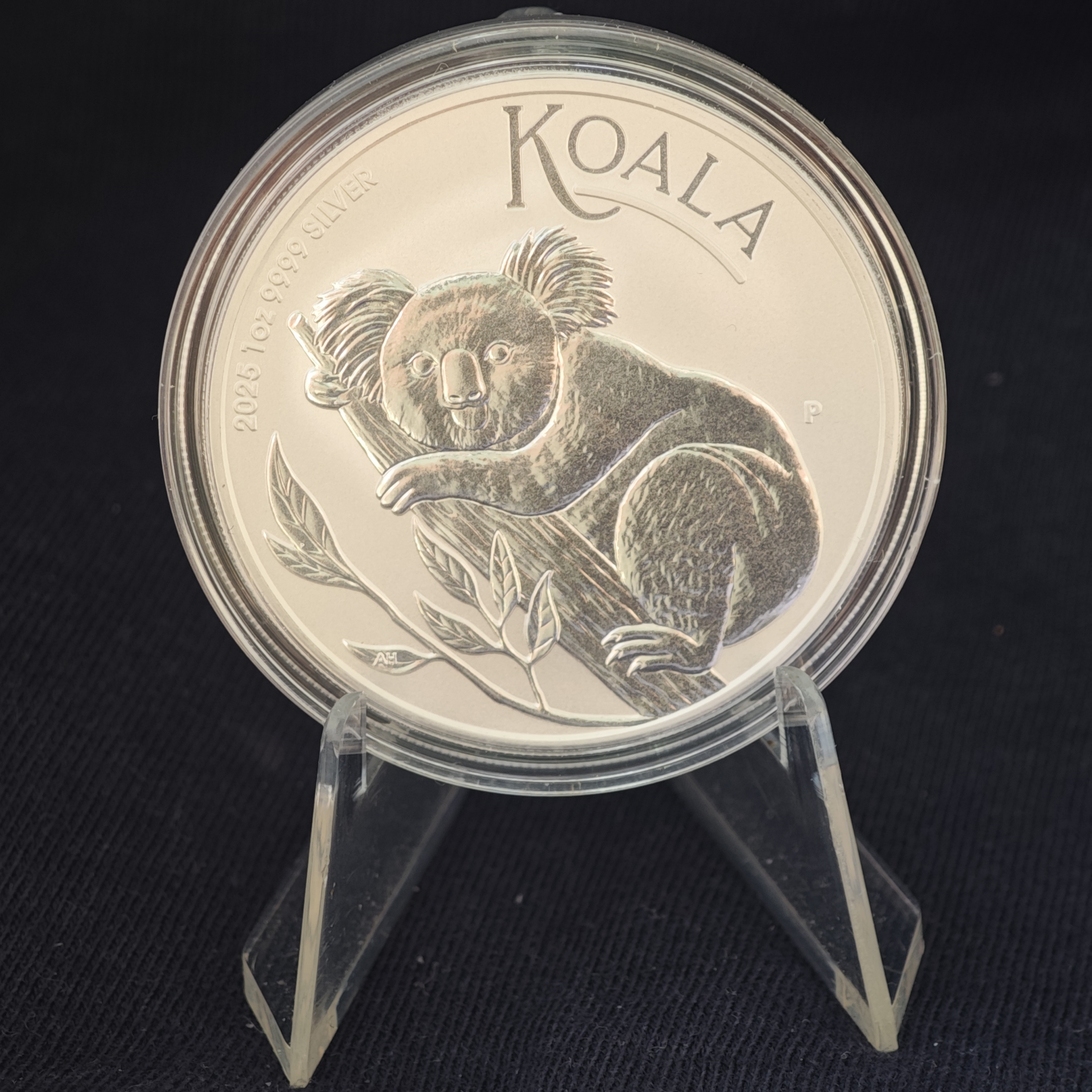 Австралійська коала 2025