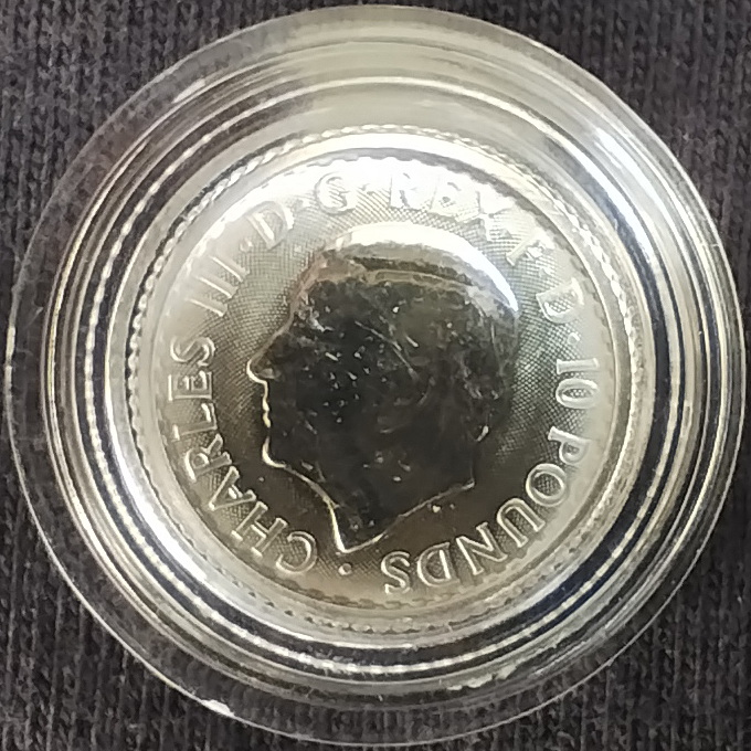Австралійська кукабарра 2025 1/10 OZ (платина)