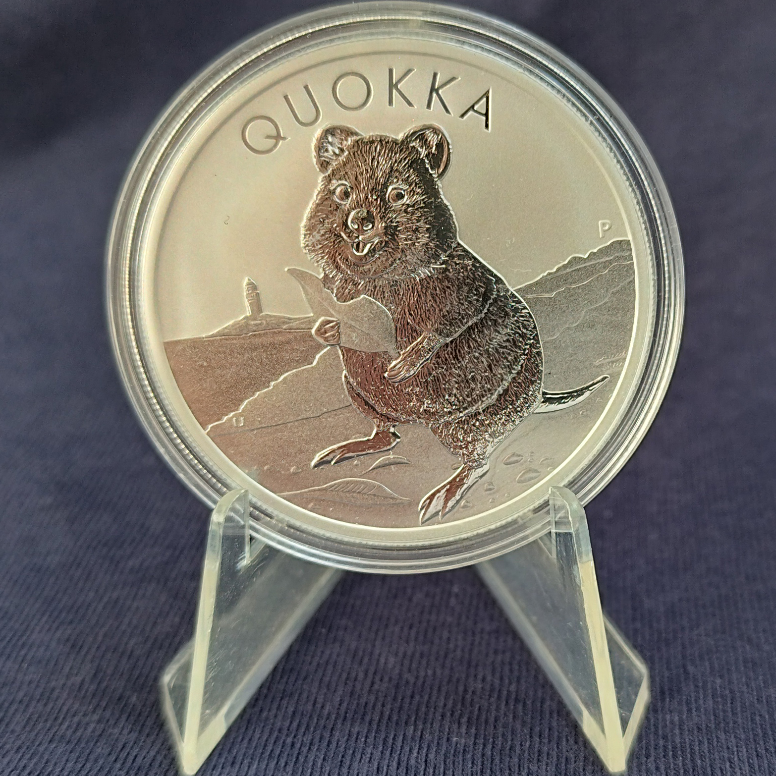 Квокка 2020