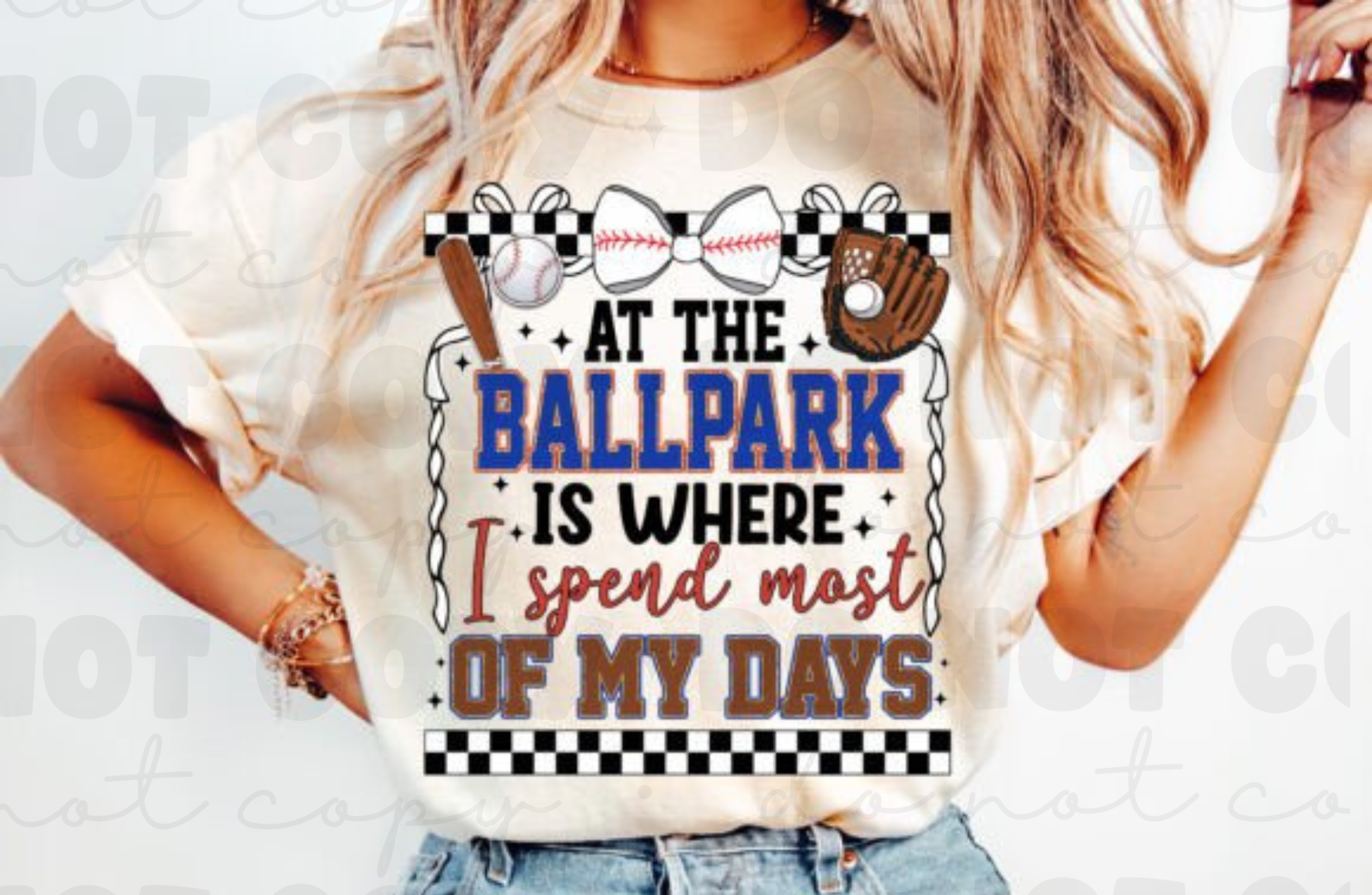 At the Ballpark T-Shirt