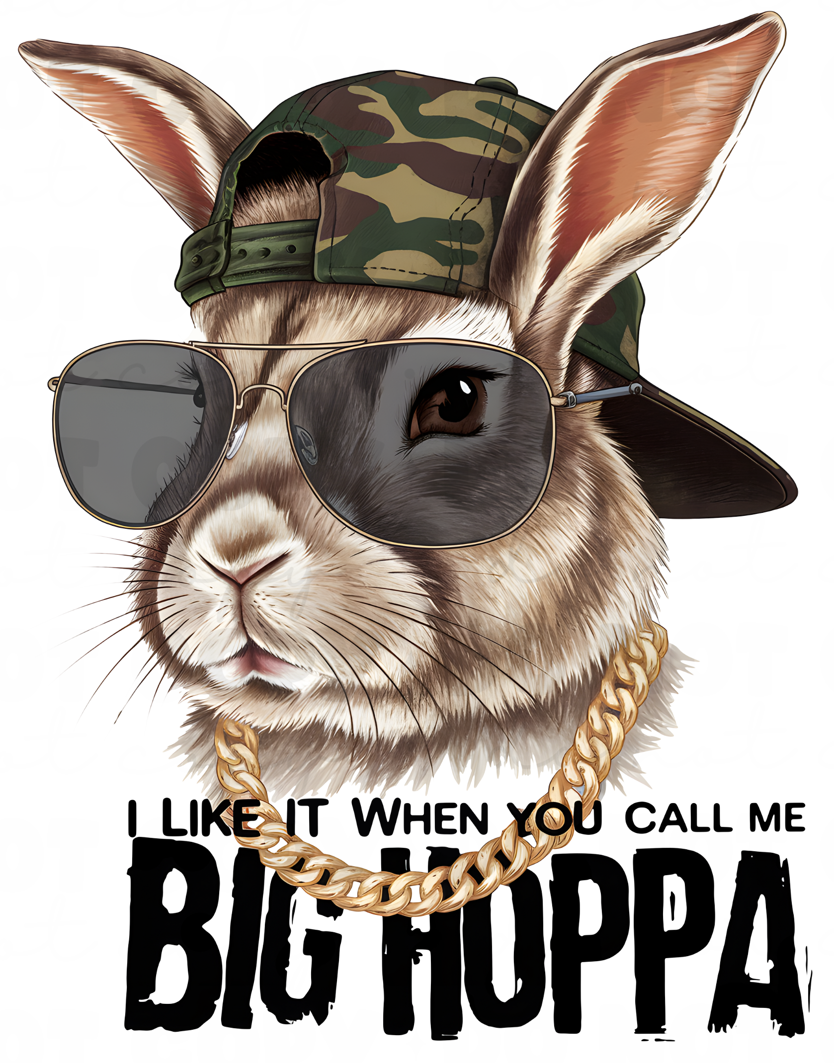 Hip Hop Rabbit DTF Transfer