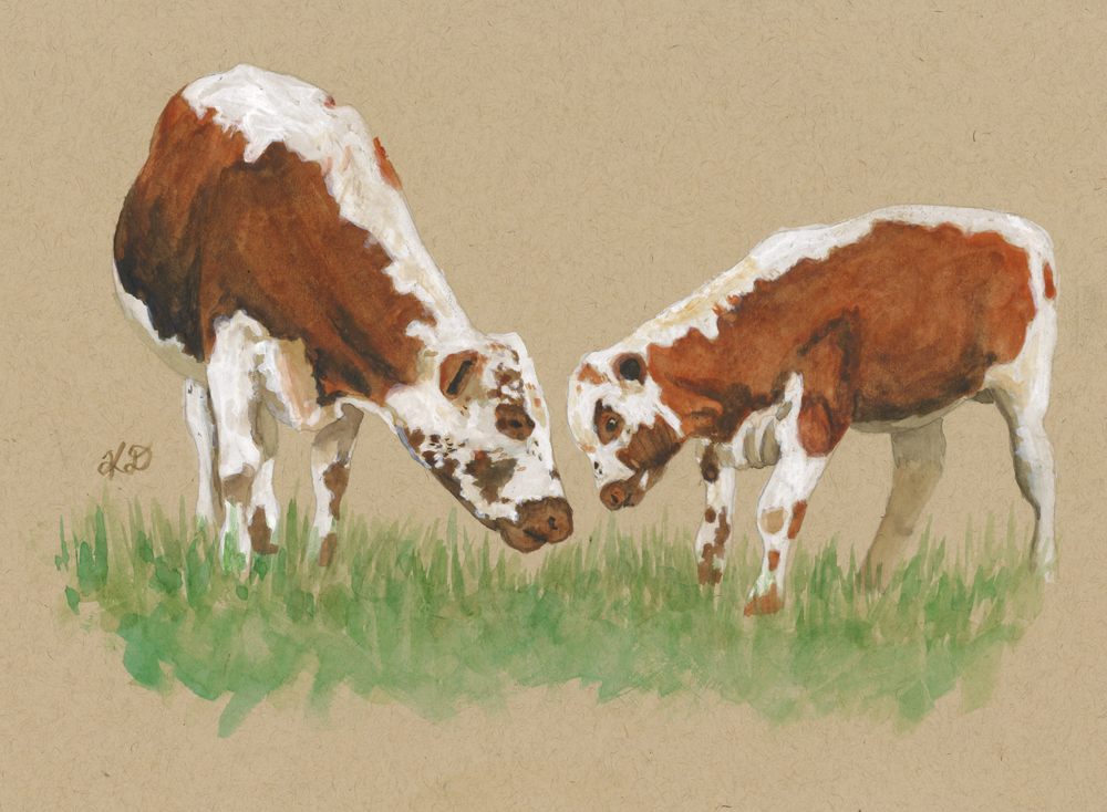 Irish Moiled Mother and Calf - Print